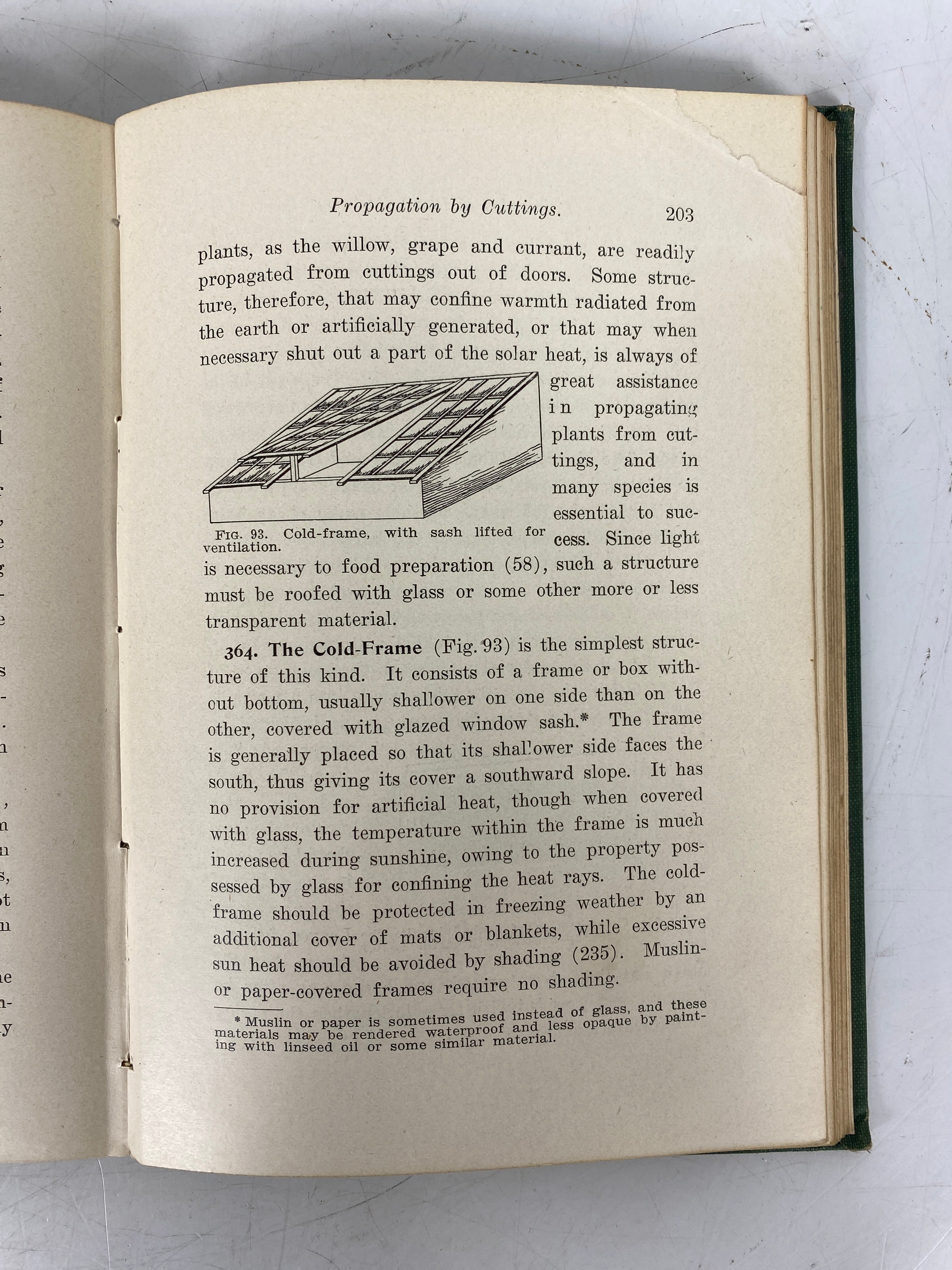 2 Vols: Principles of Plant Culture 1906/Growth & Differentiation in Plants 1953