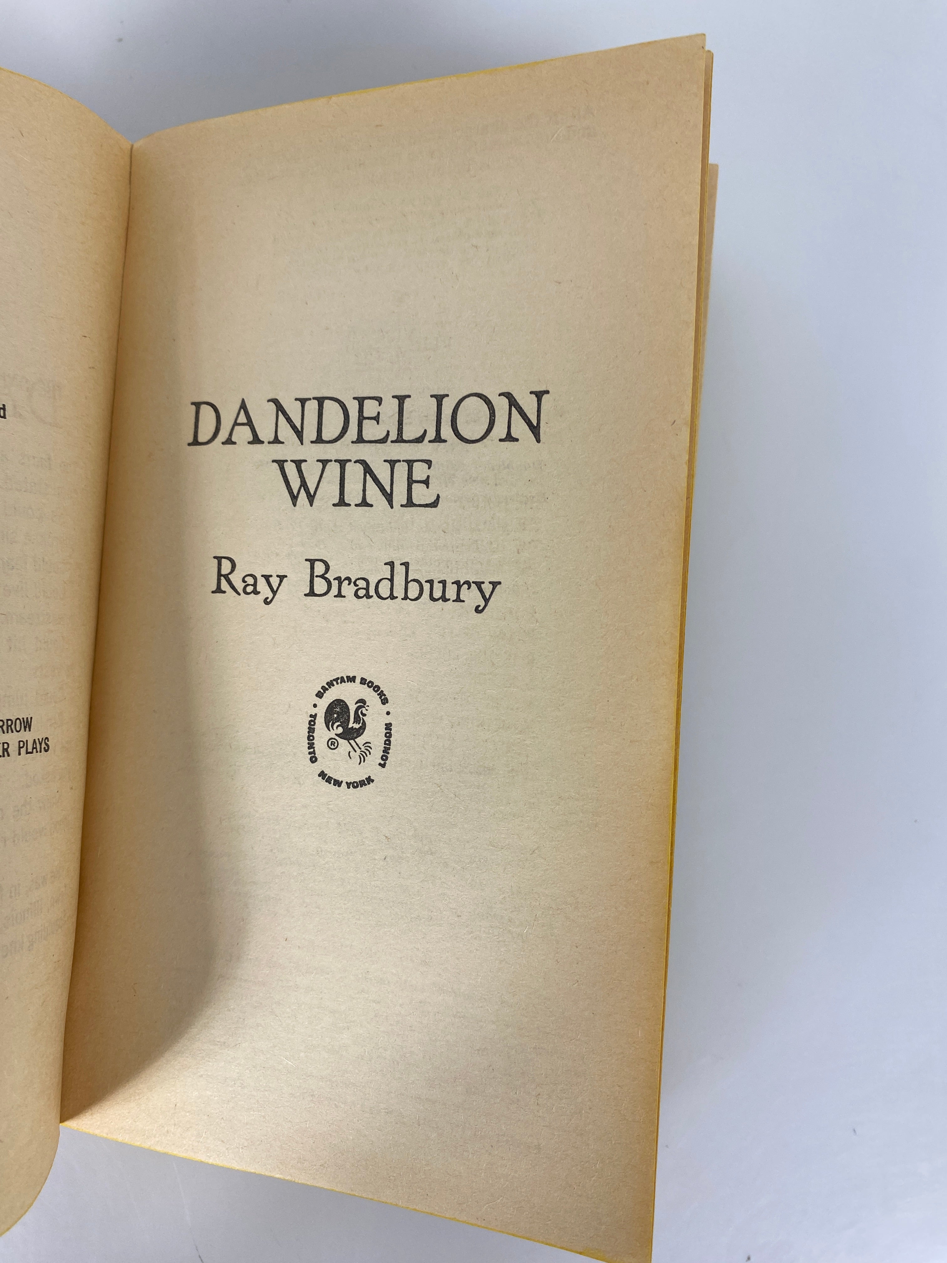 Dandelion Wine Ray Bradbury vintage paperback 1976