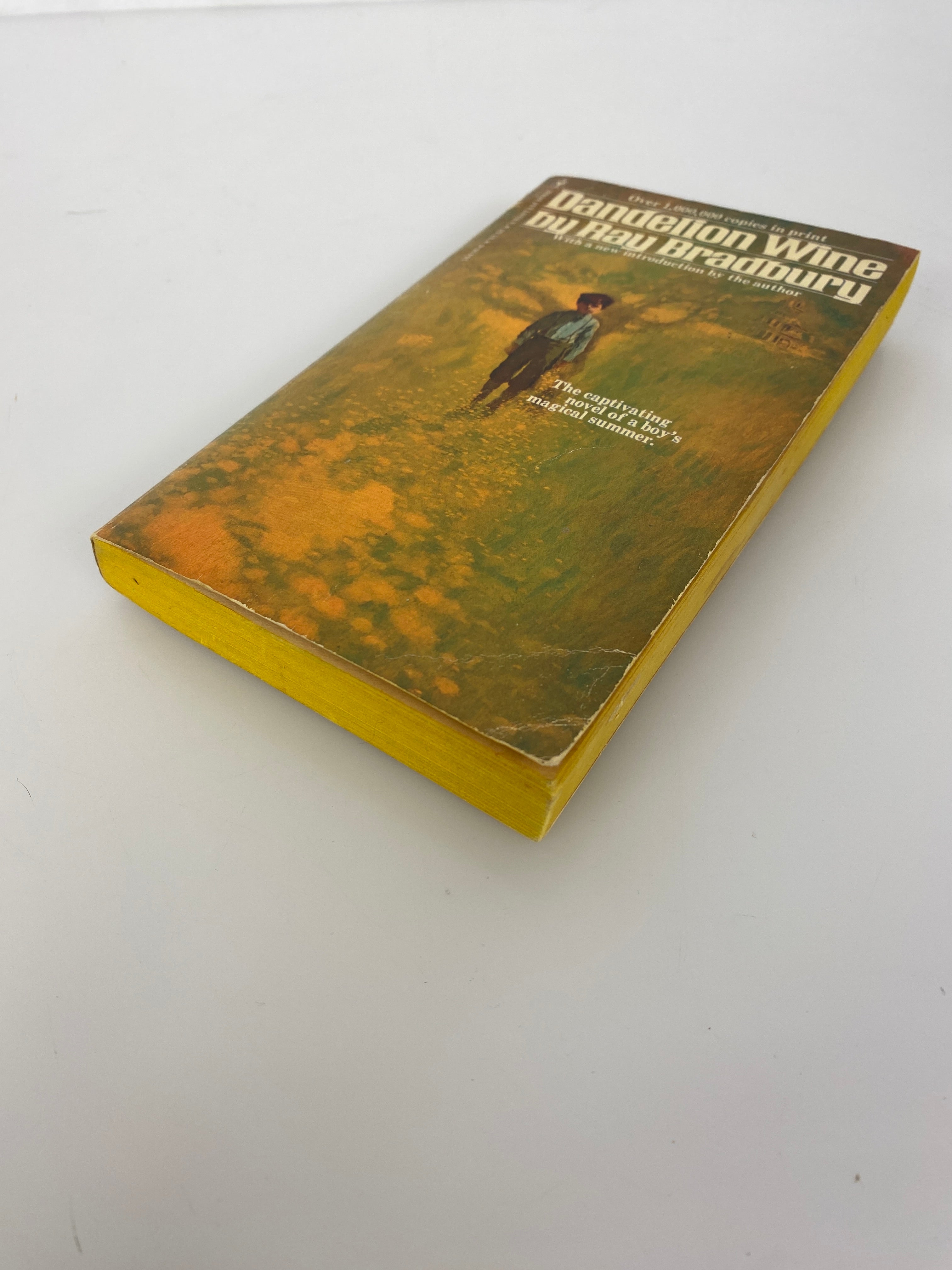 Dandelion Wine Ray Bradbury vintage paperback 1976