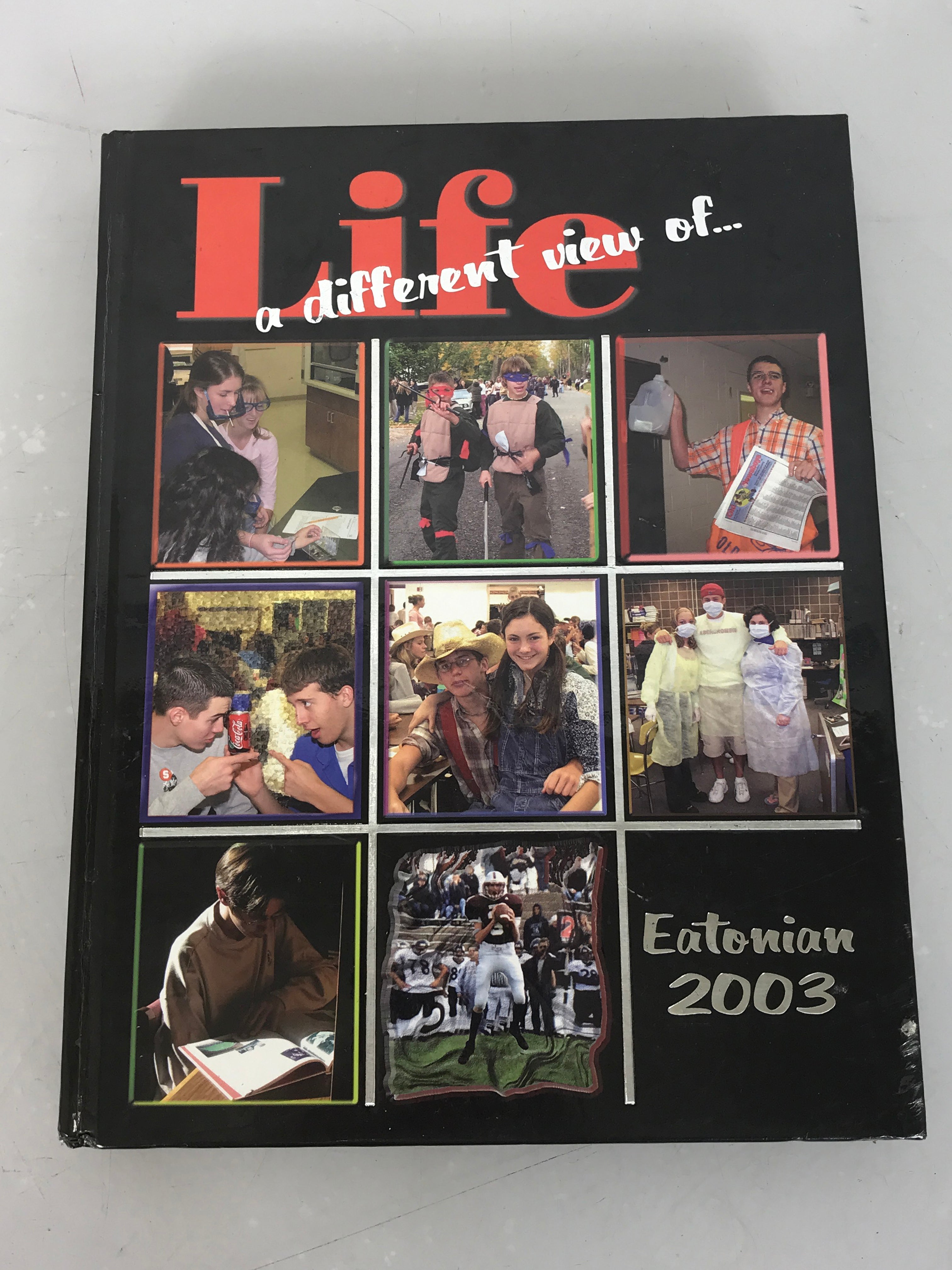 2003 Eaton Rapids High School Yearbook Eaton Rapids Michigan HC