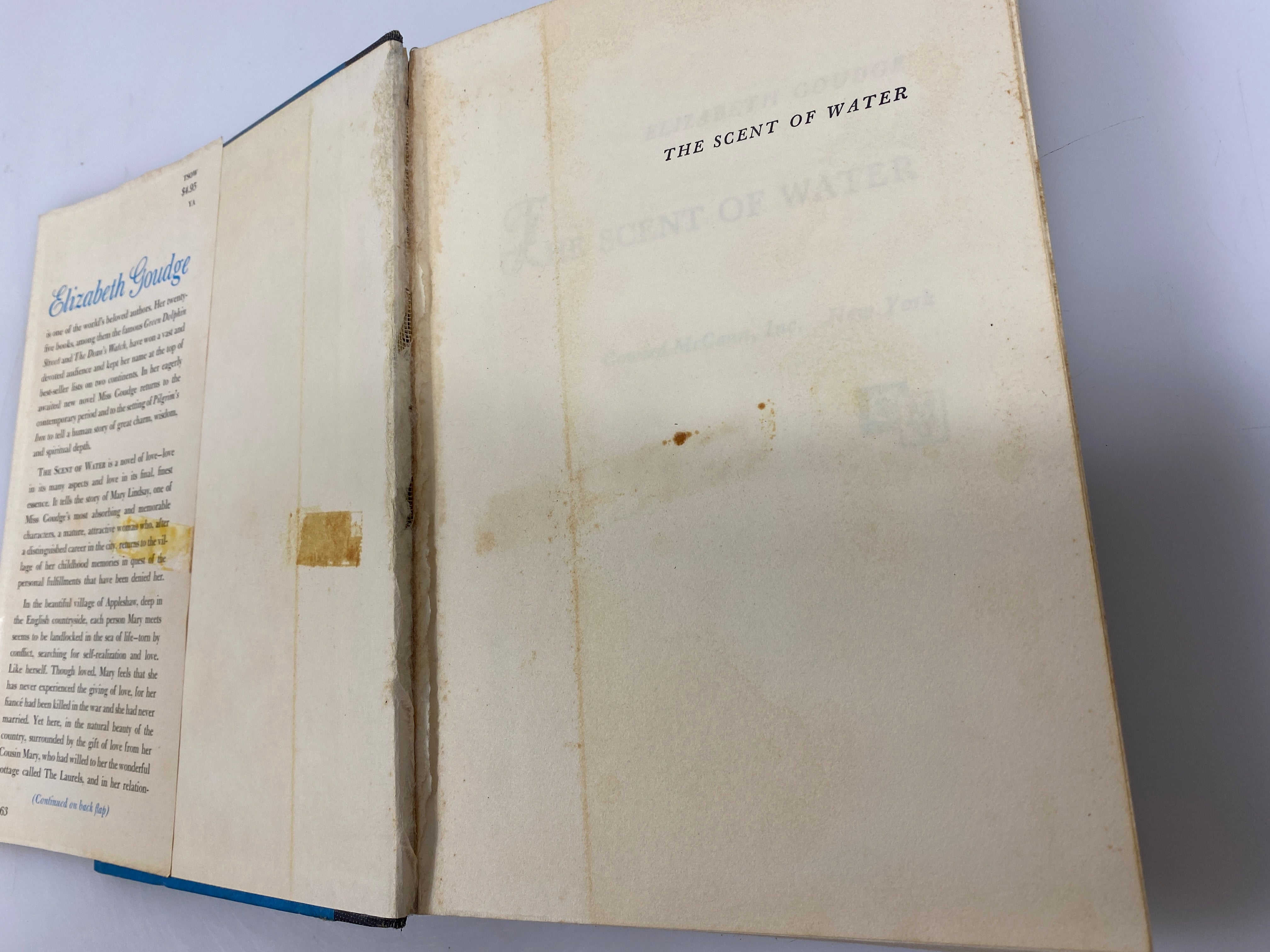 The Scent of Water by Elizabeth Goudge 1963 HCDJ