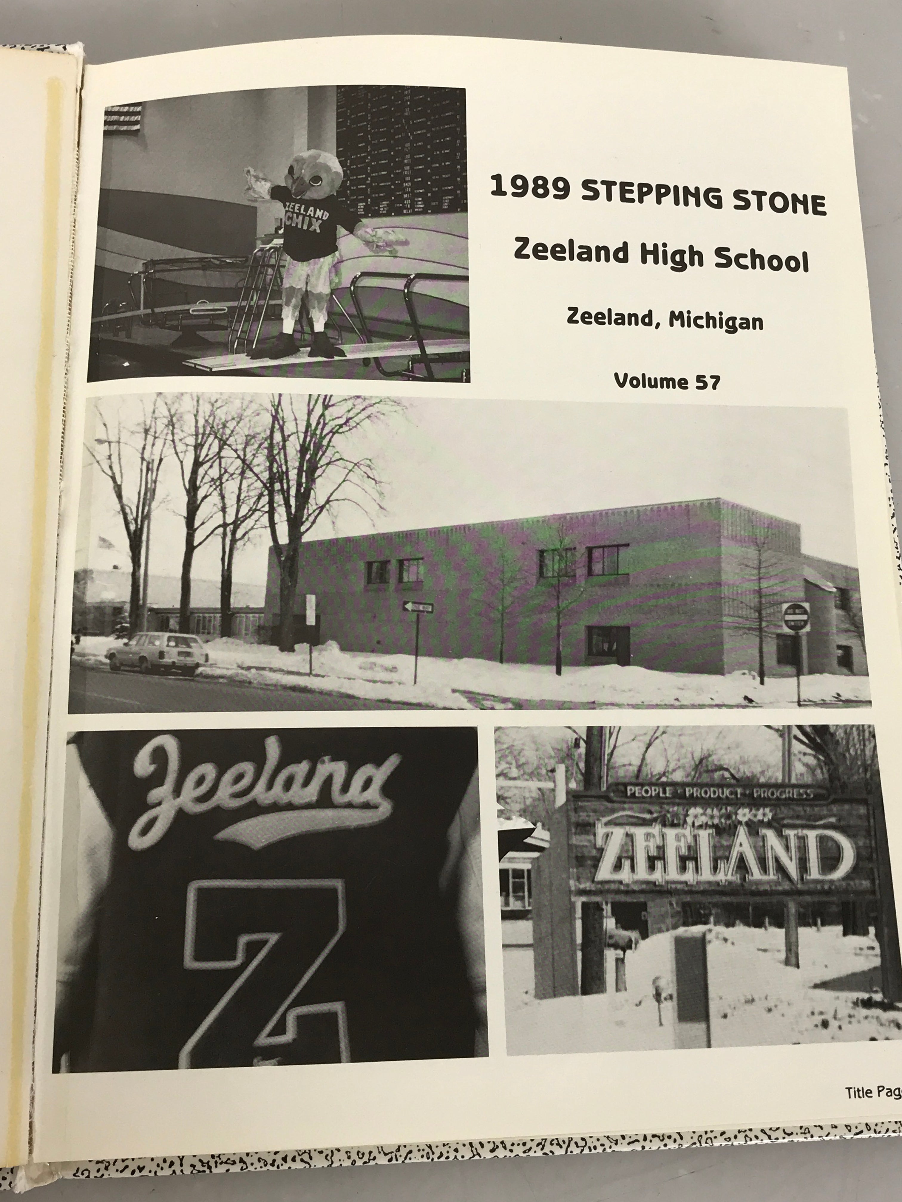 1989 Zeeland High School Yearbook Zeeland Michigan HC