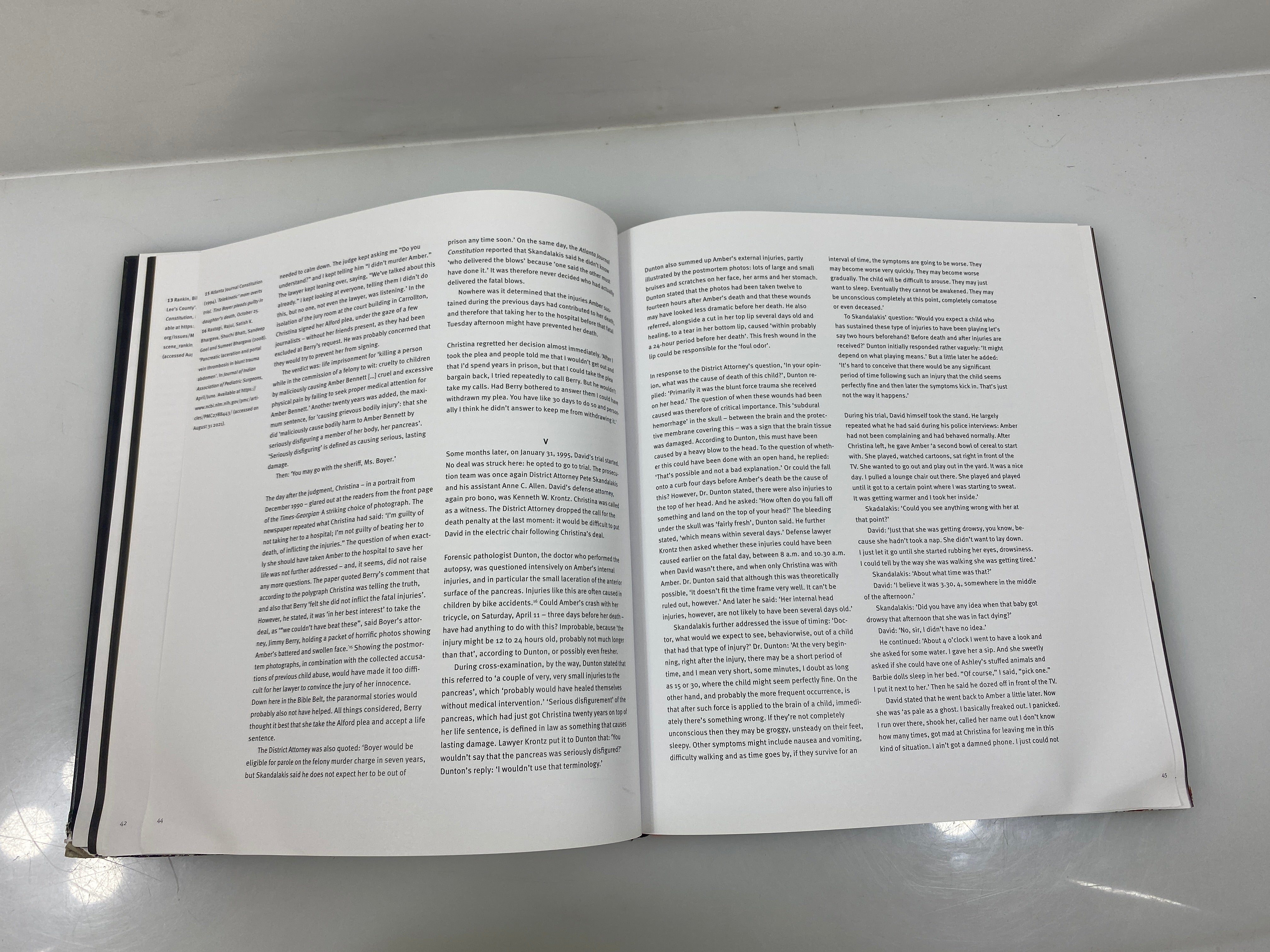 The Verdict by Jan Banning Schilt Publishing 2022 HC