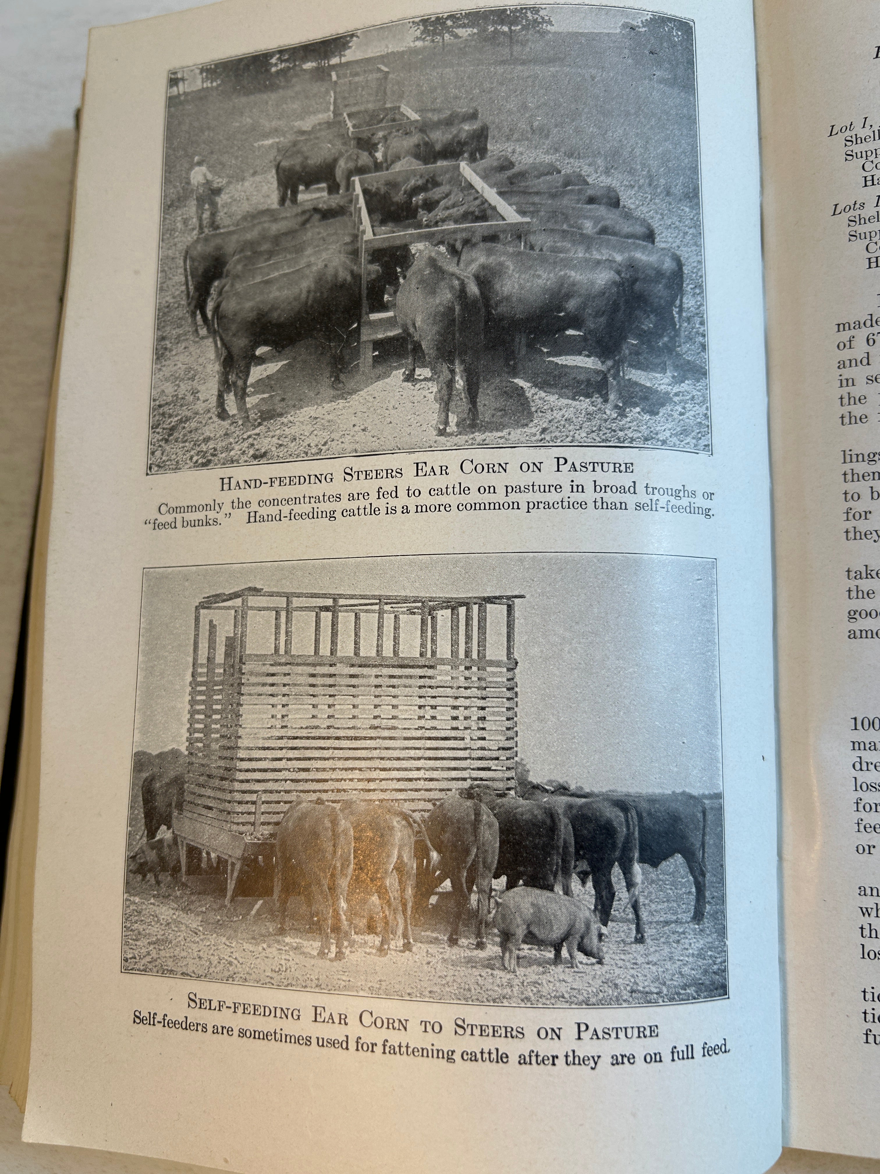 Feeds and Feeding 20th Ed F.B. Morrison-Morrison Publishing Co 1947 HC