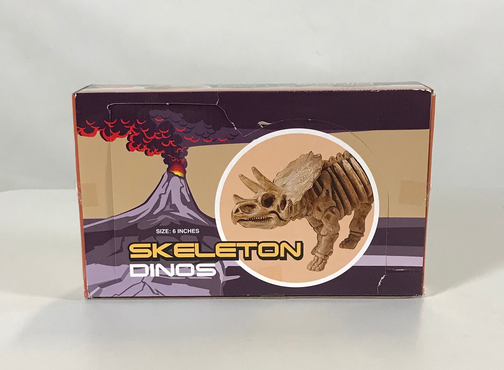 Skeleton Dinos