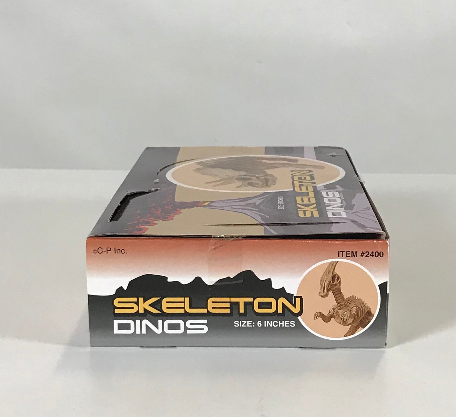 Skeleton Dinos