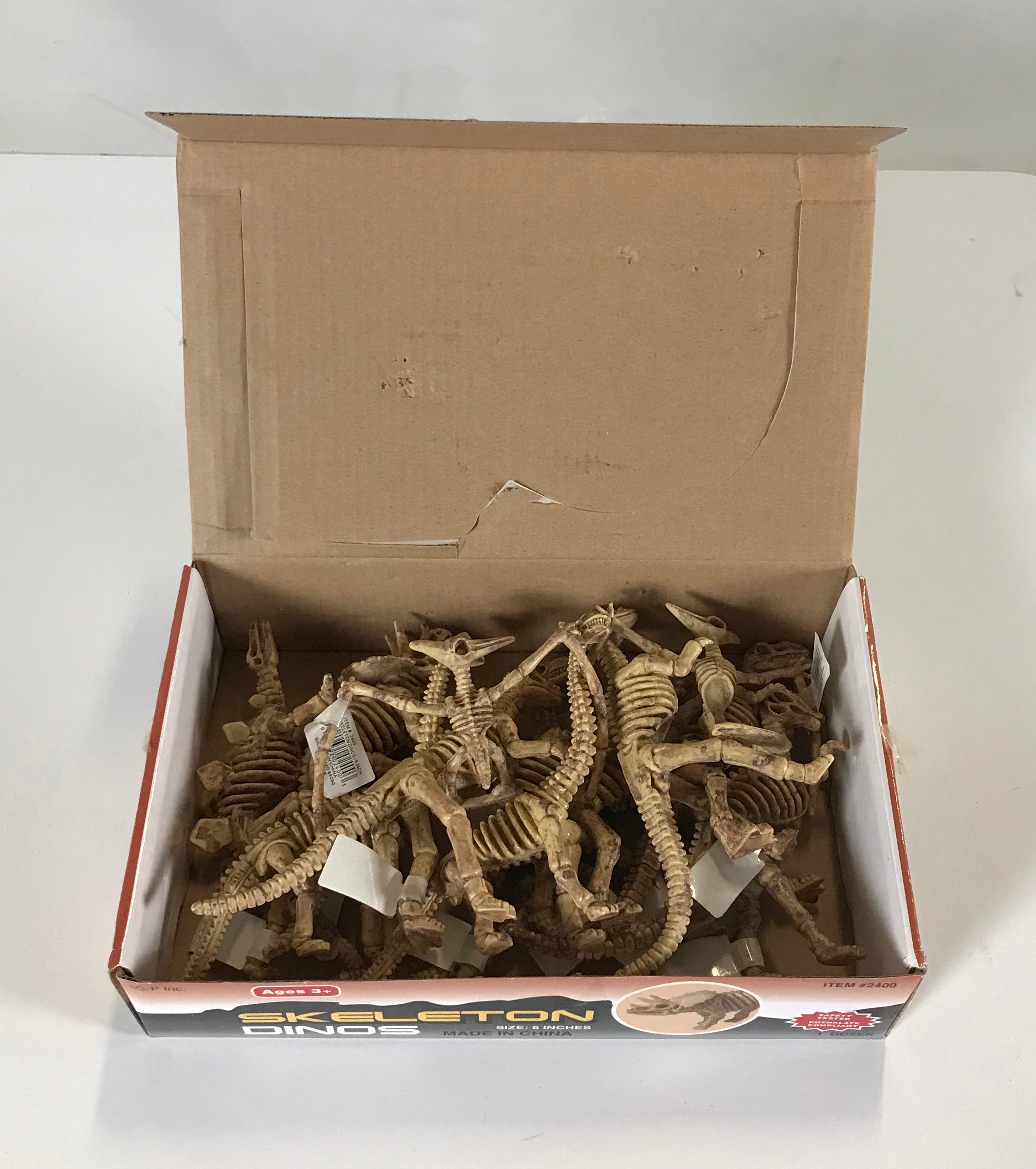 Skeleton Dinos