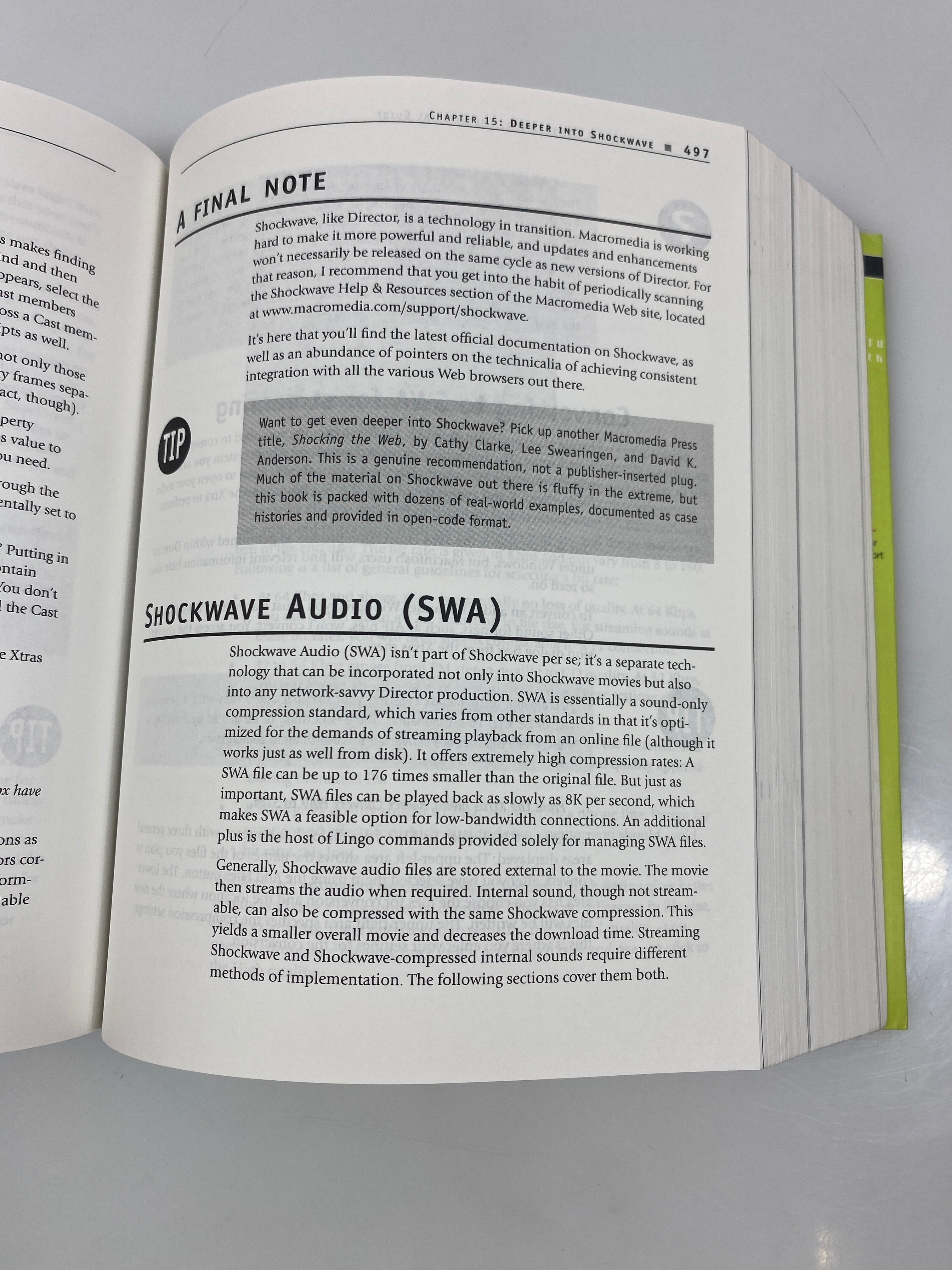 Director 8 Demystified by Phil Gross/Jason Roberts 2000 SC