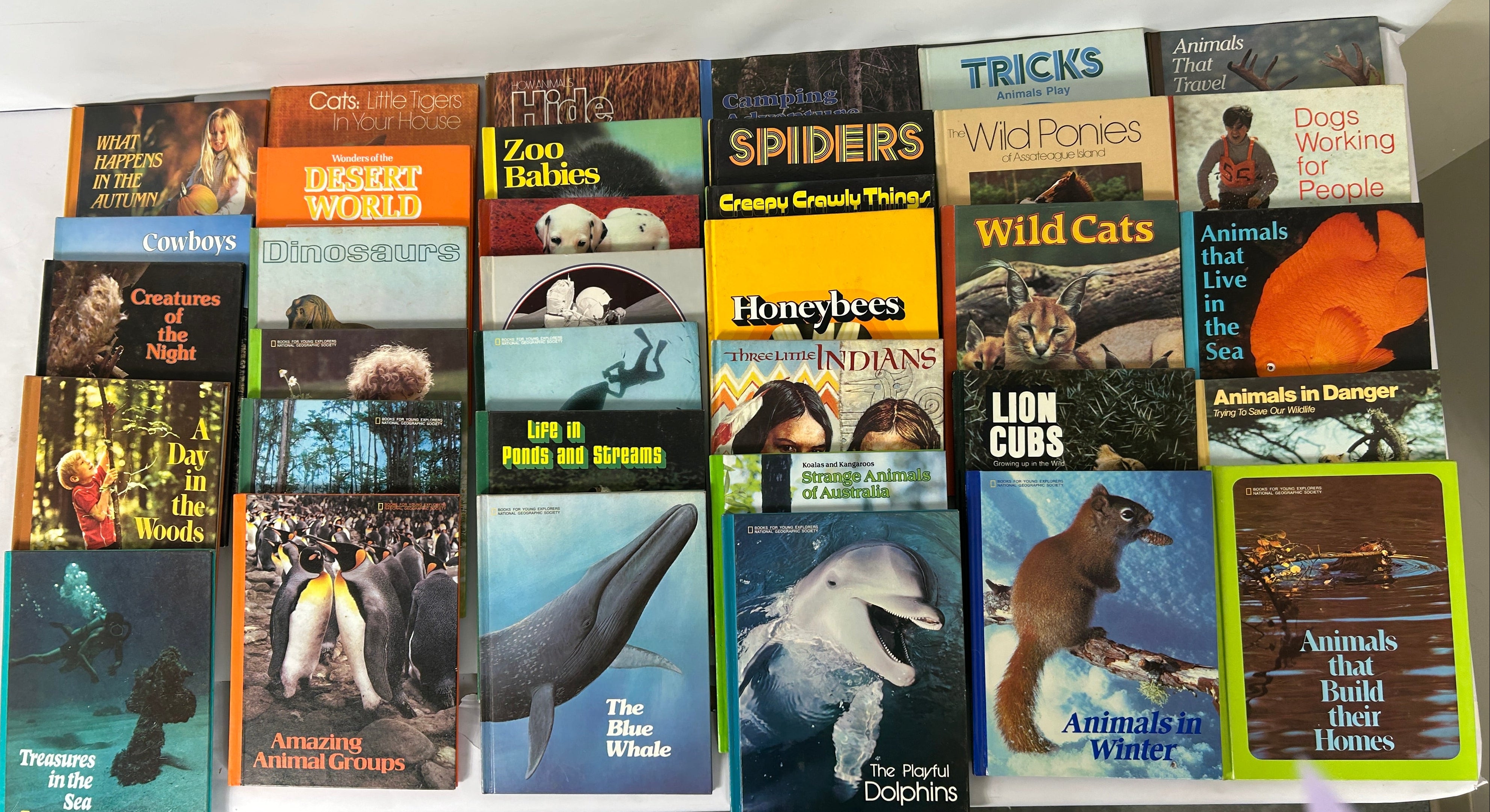 28 Vol Set Books for Young Explorers National Geographic