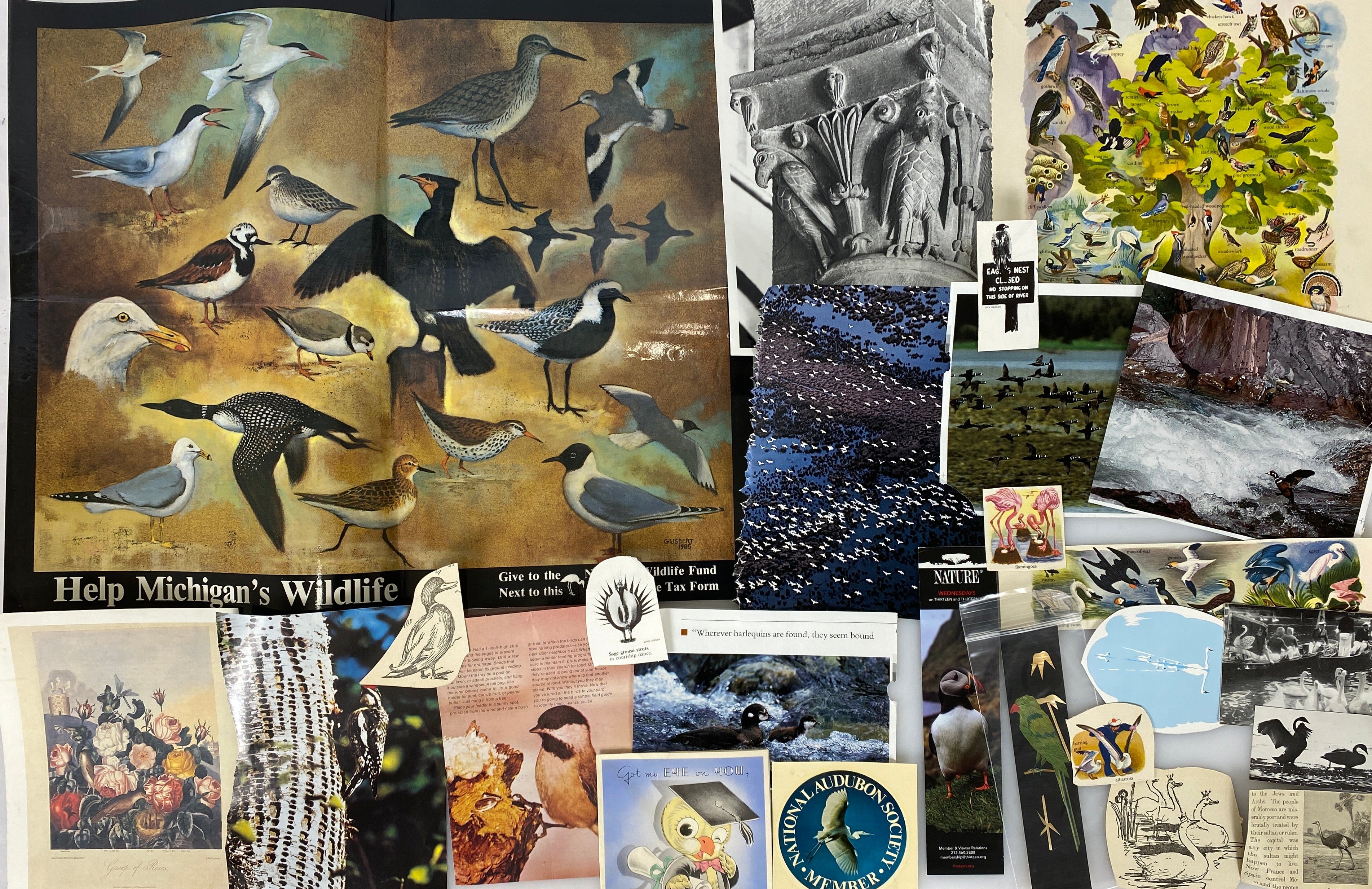 Birder's Delight Paper Ephemera Pack - 25 pcs