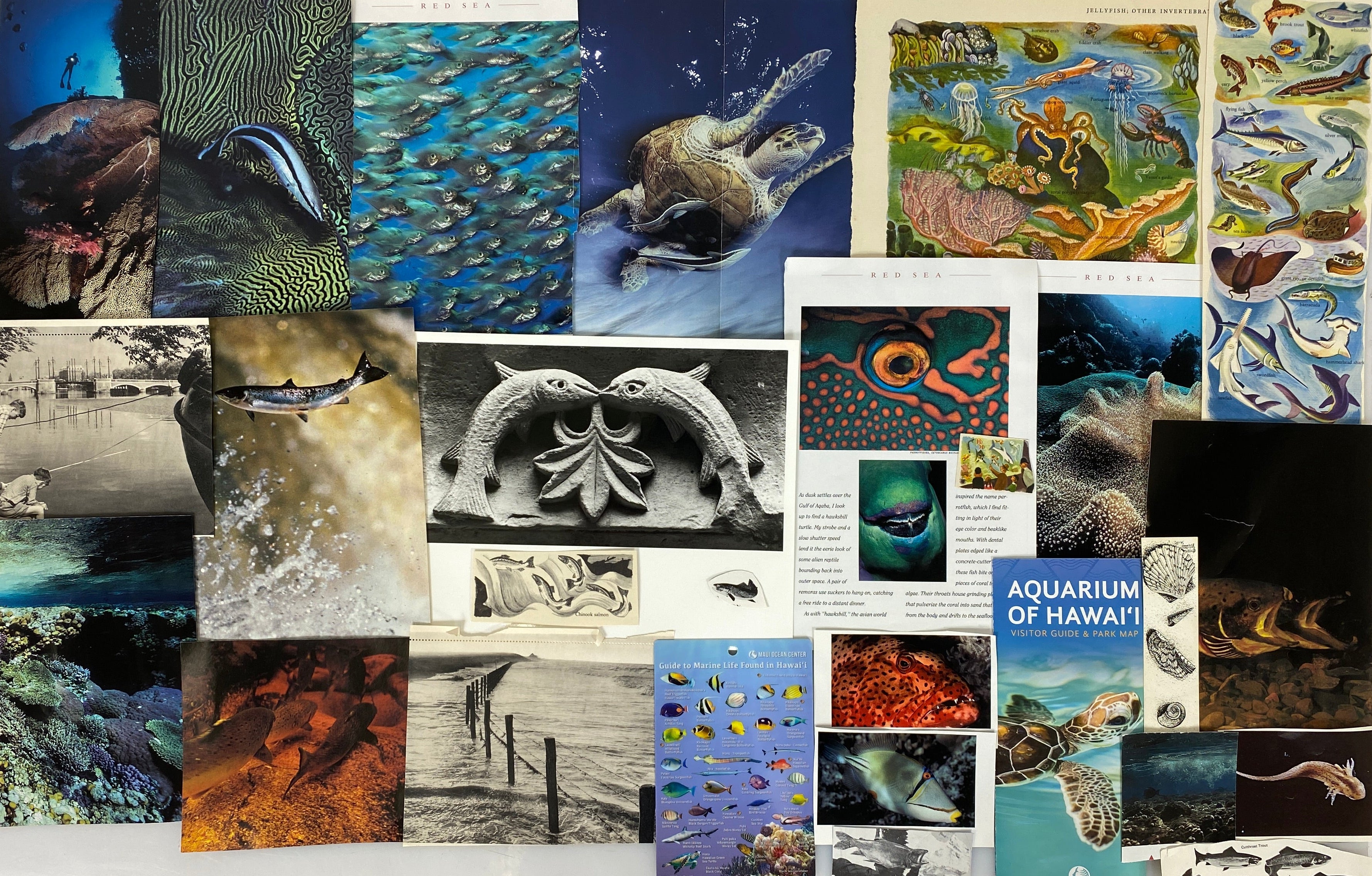 Fish/Marine Life Paper Ephemera Pack - 25 pcs