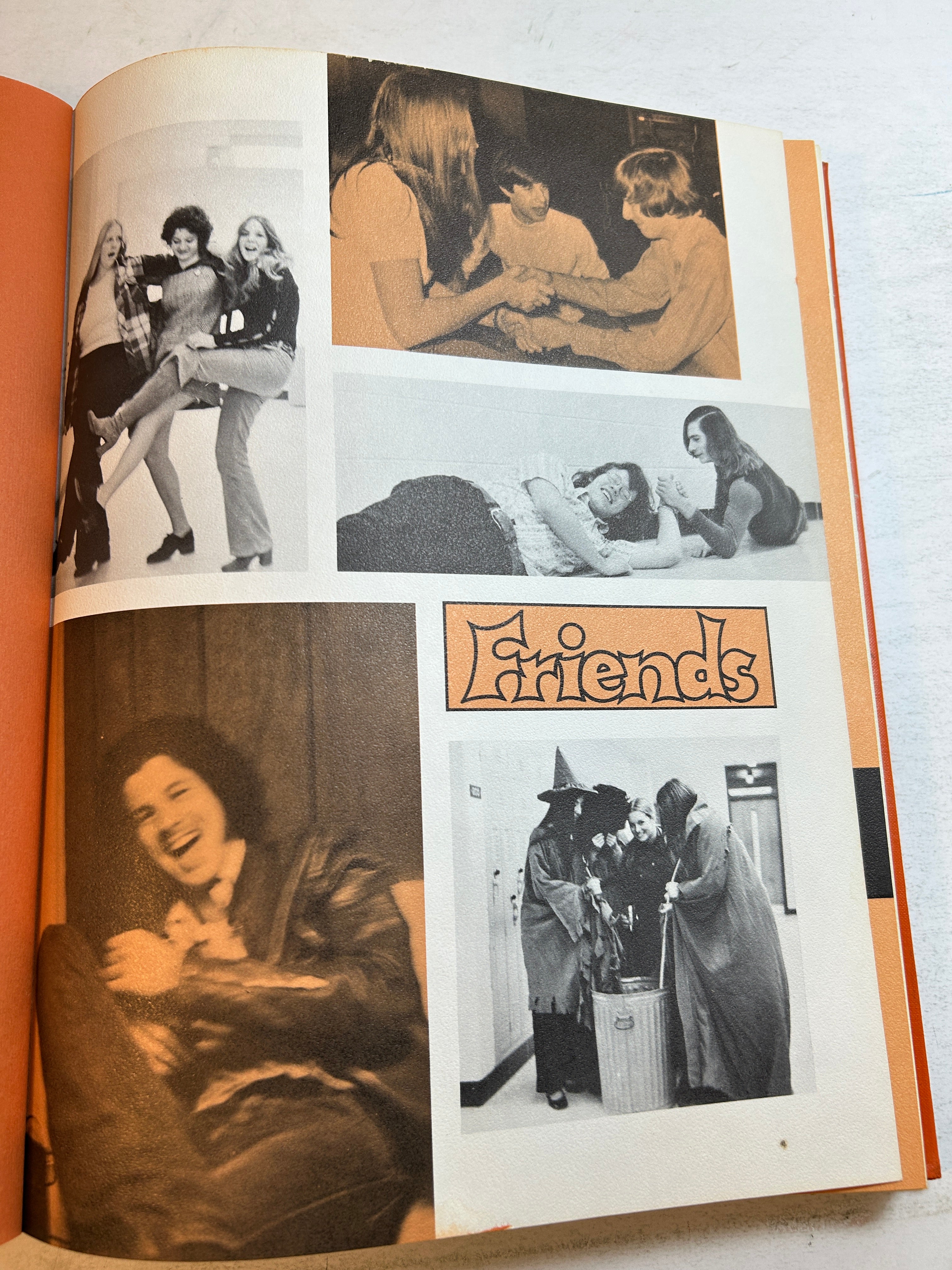 1973 "Ember" Carl Brablec High School Yearbook Roseville, MI HC