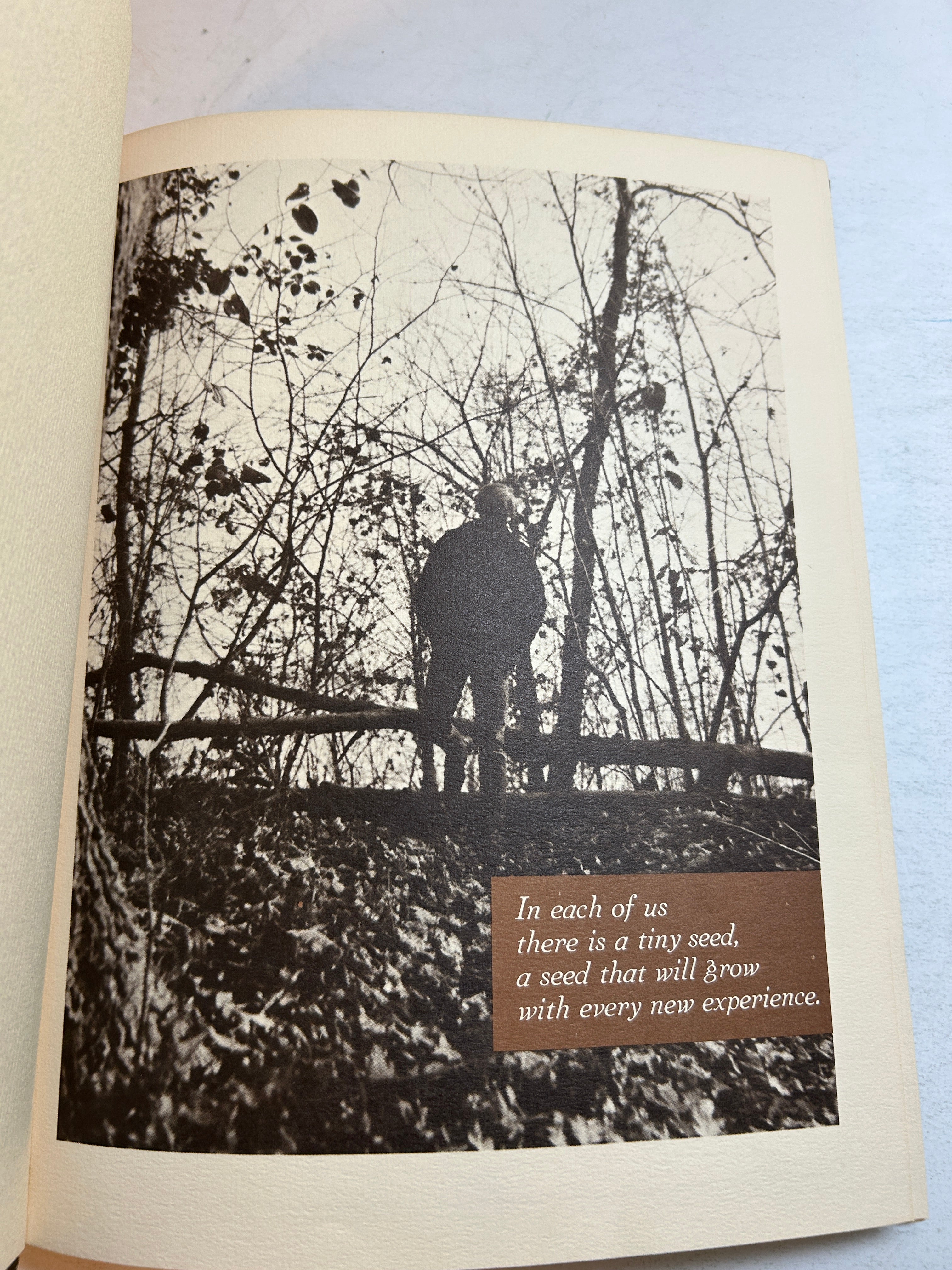 1971 "Ember" Carl Brablec High School Yearbook Roseville, MI HC