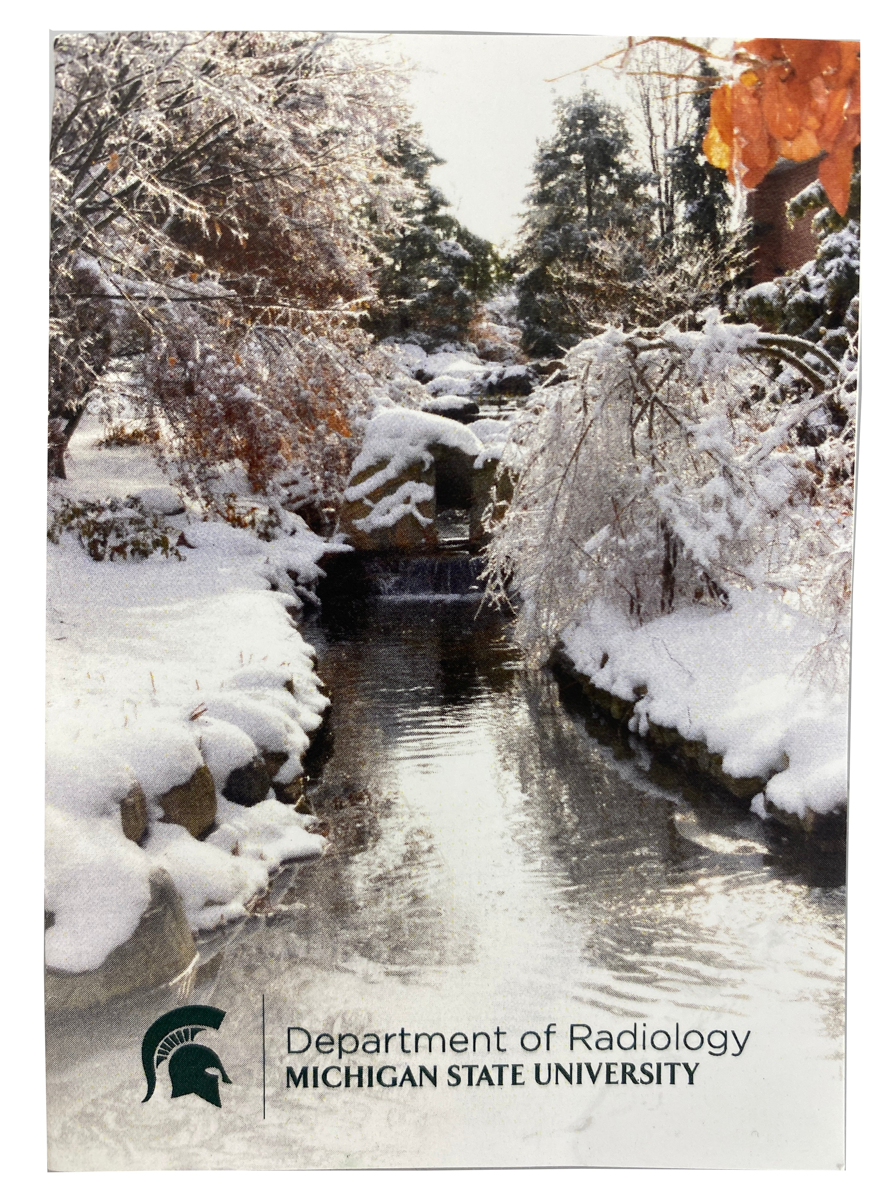 MSU Radiology Healing Gardens Green Watercan and Koi Bracelet