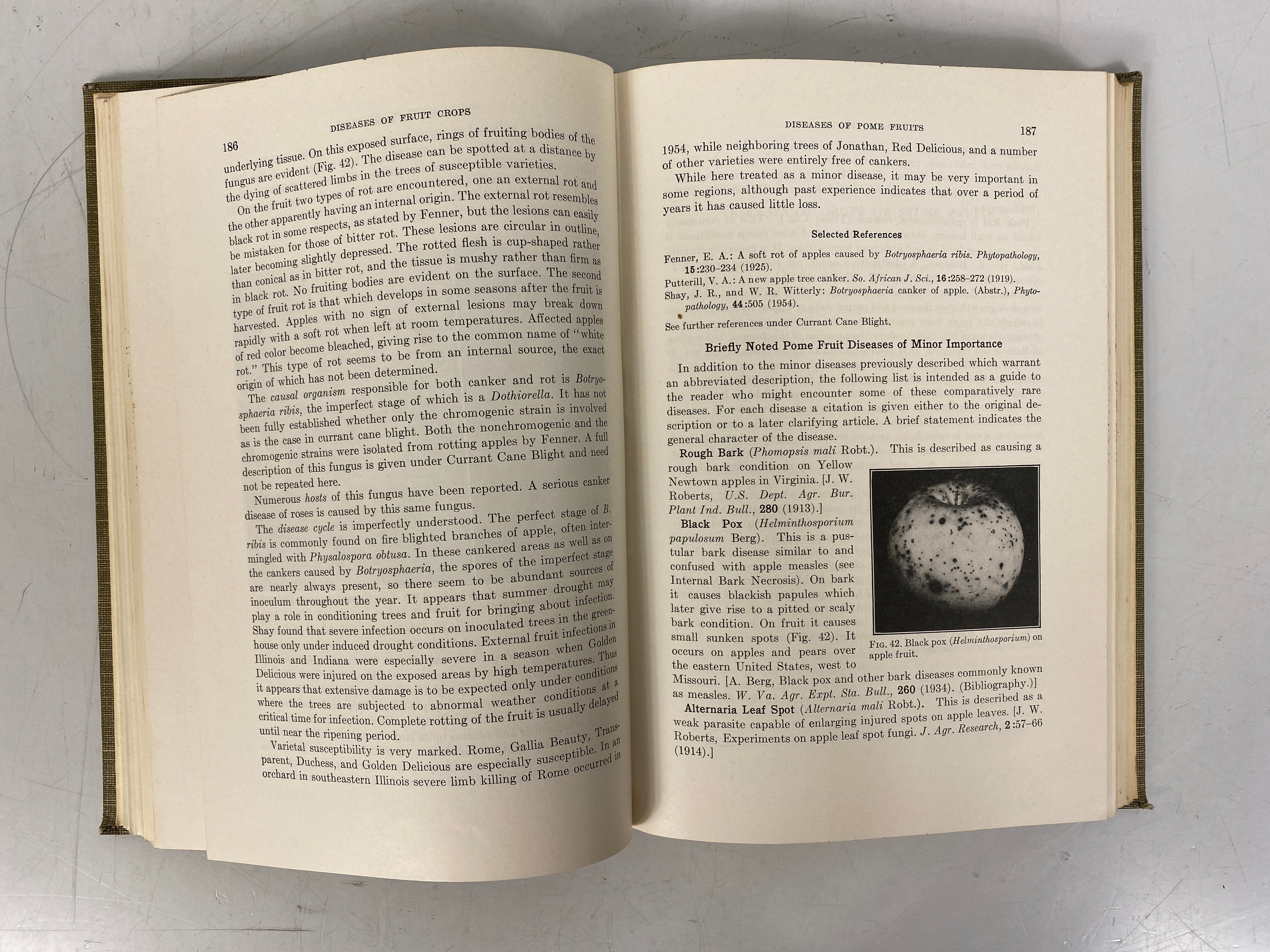 2 Vols: Essentials of Systematic Pomology/Diseases of Fruit Crops 1925-56 HC