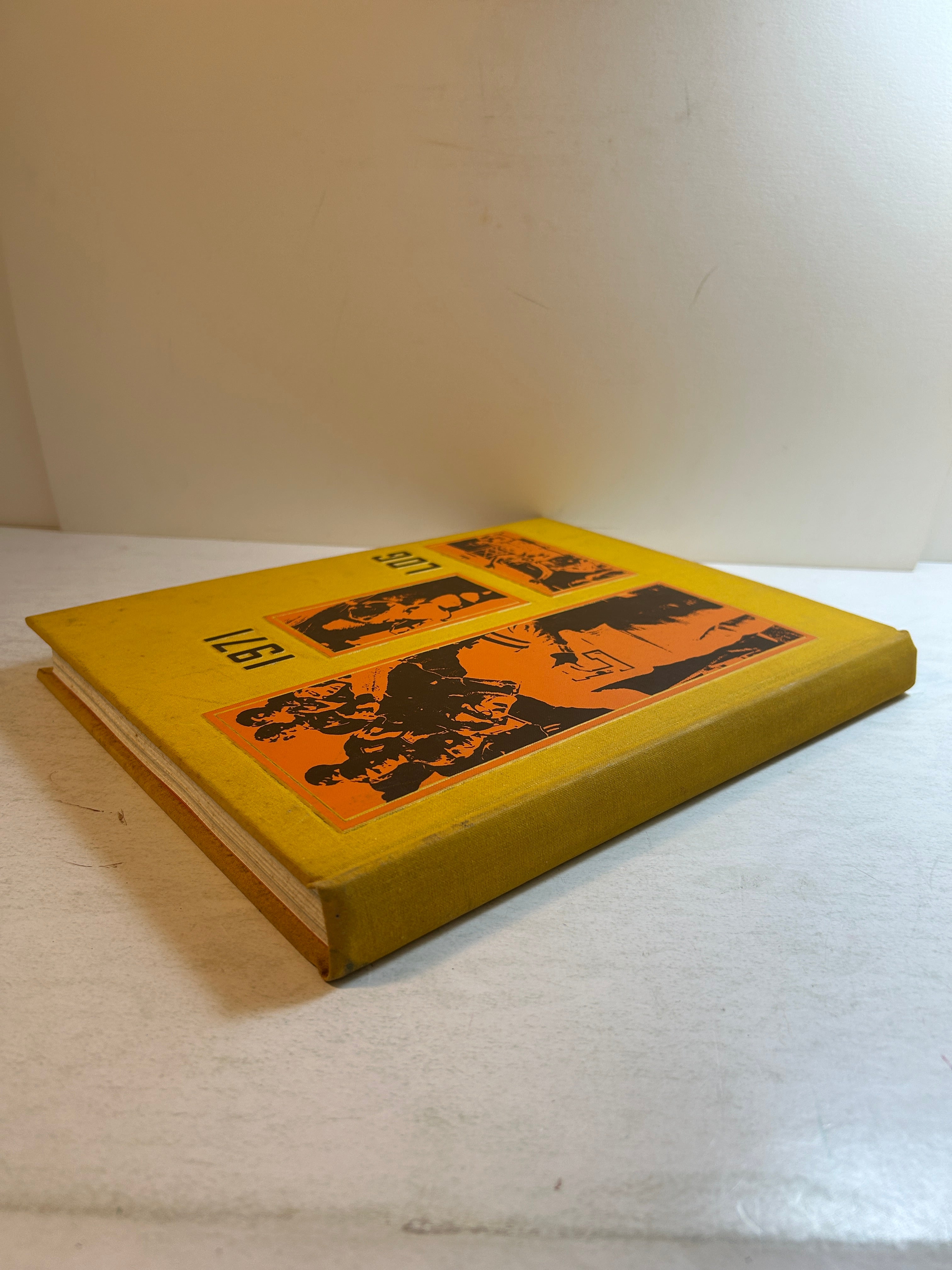 1971 "Log" Lakeview High School Yearbook Battle Creek, MI JoLaine Reierson HC