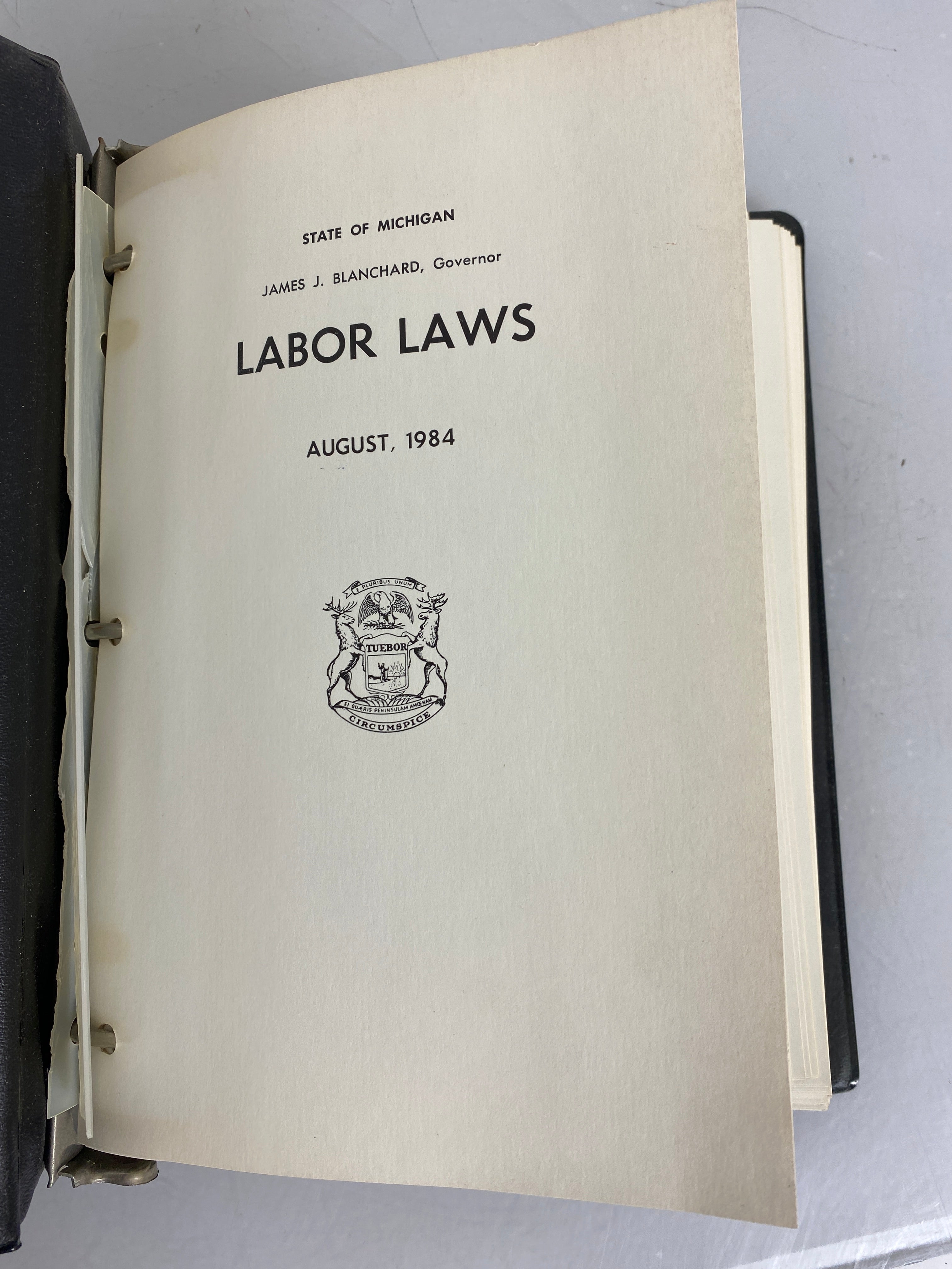 Michigan Department of Labor 1984 Labor Laws Spiral Bound