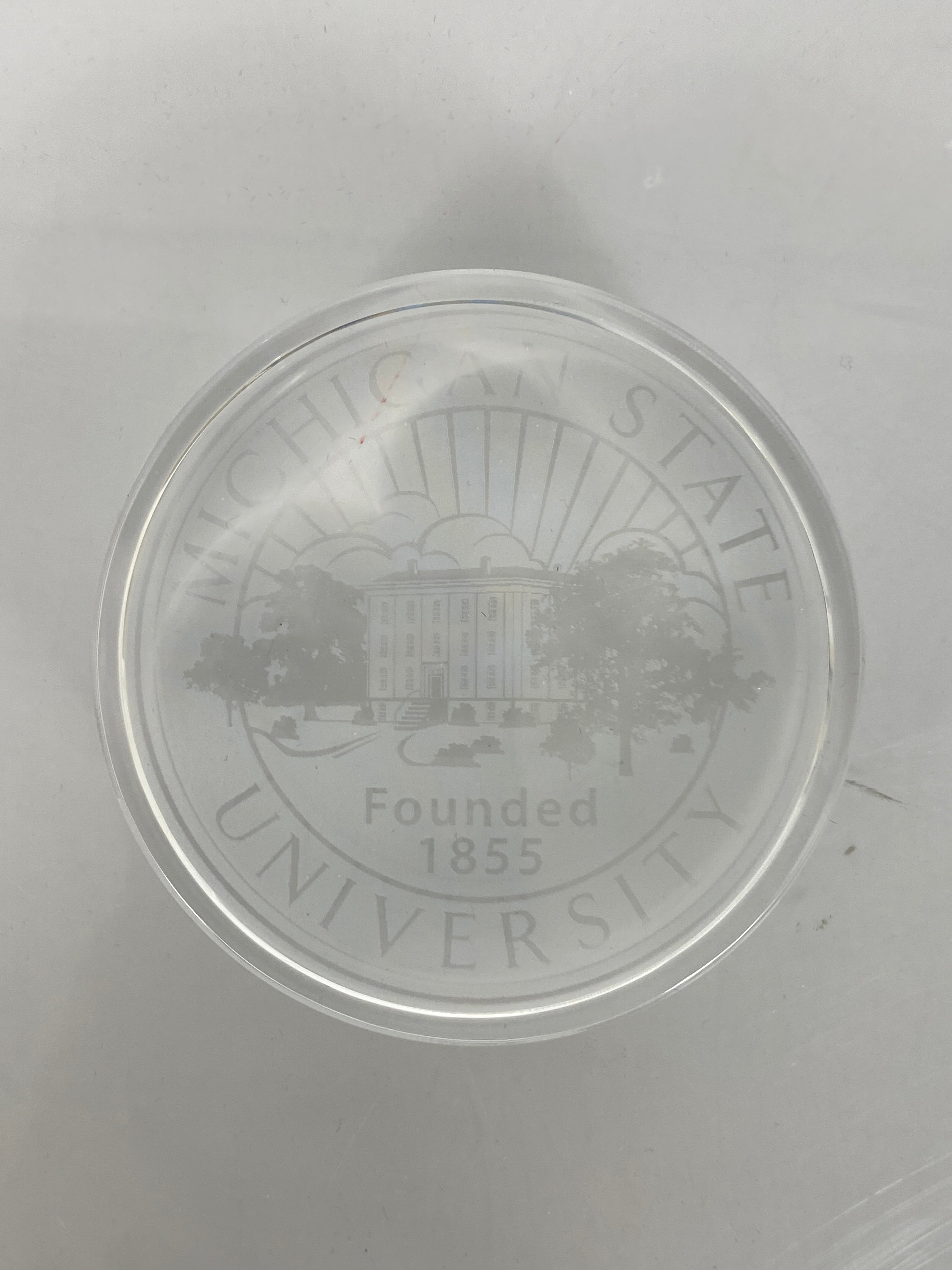 MSU Crystal Paperweight #1