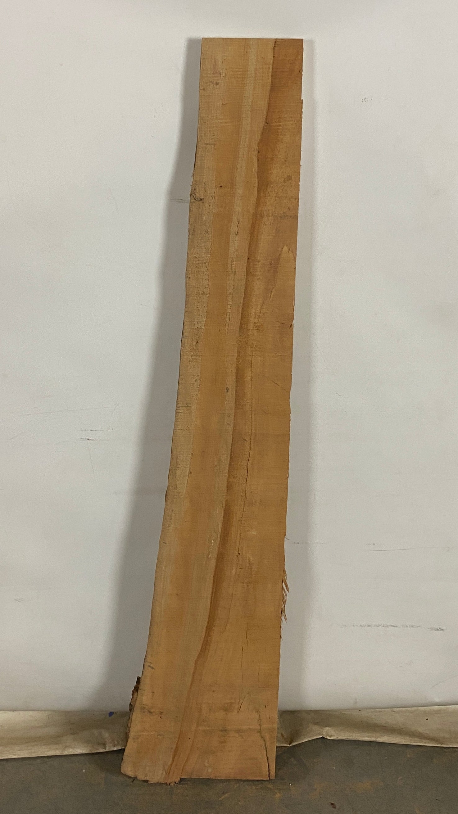 MSU Shadows Live Edge Sycamore Wood #10