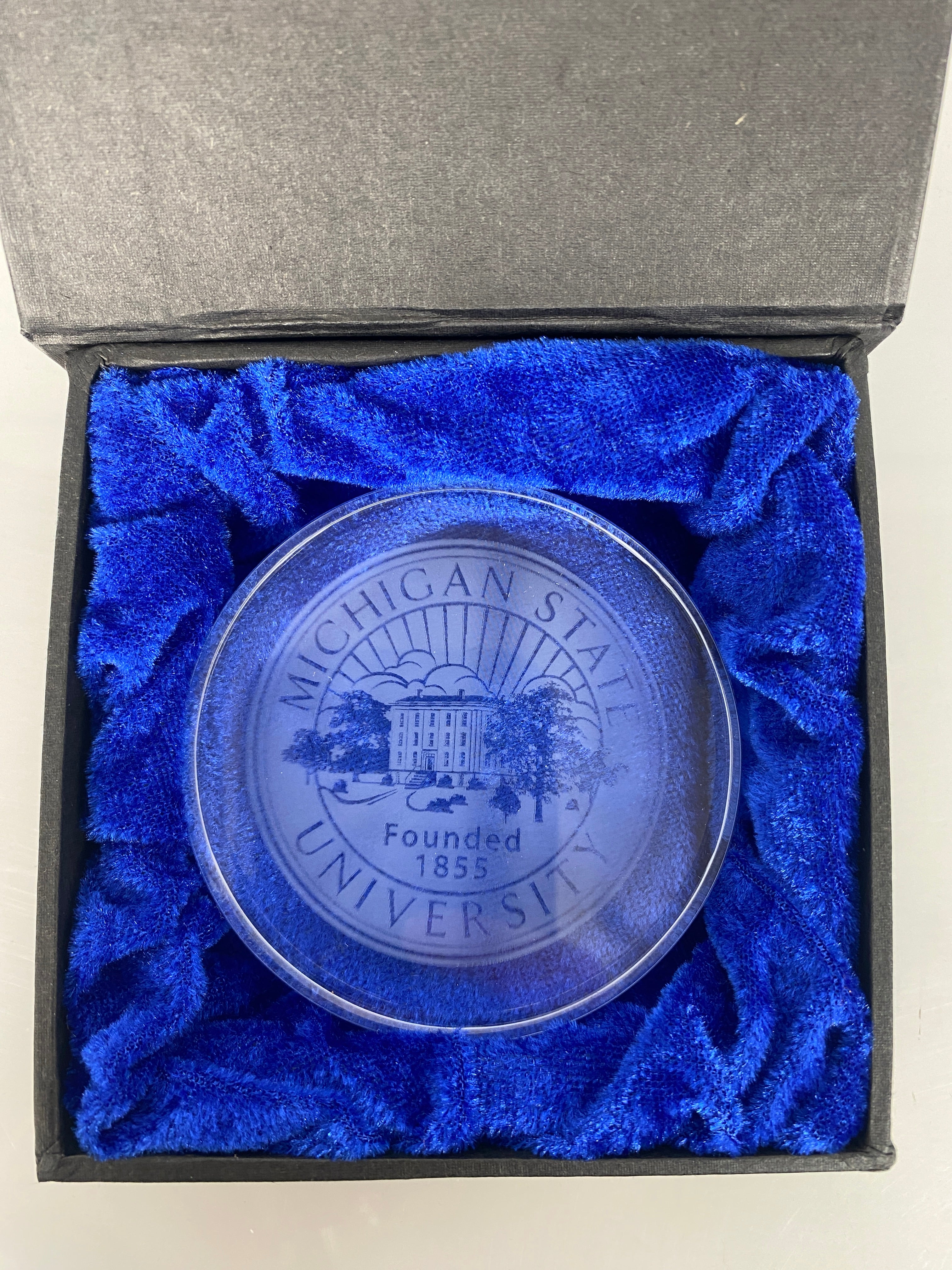 MSU Crystal Paperweight #2