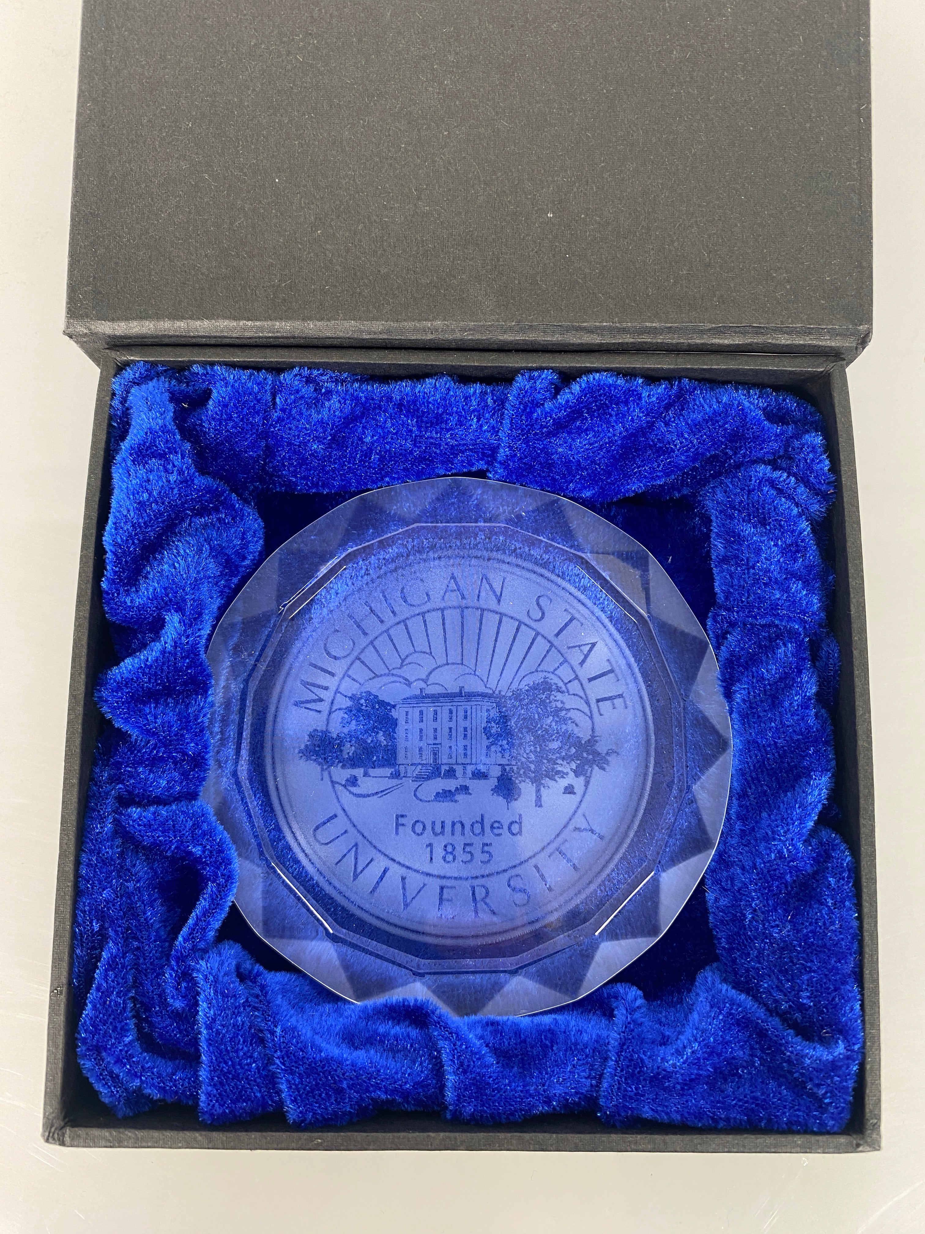 MSU Crystal Paperweight #3