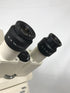 Zeiss AxioSkop 2 MOT Phase Contrast Laser Microscope W/ LSM 5 Pascal & LASOS Systems *For Parts or Repair*