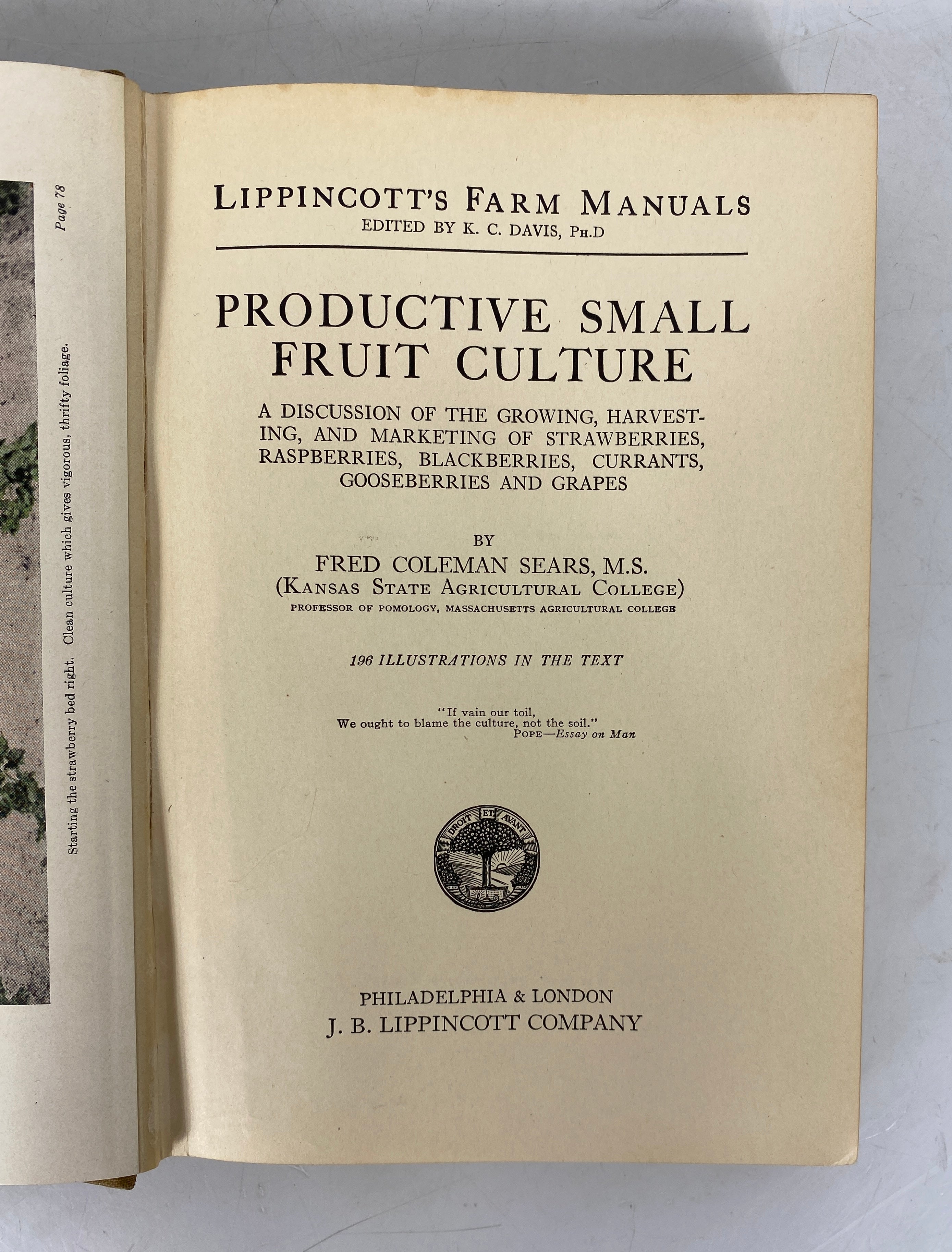 Productive Small Fruit Culture by Sears Lippincott's Farm Manuals 1920 HC