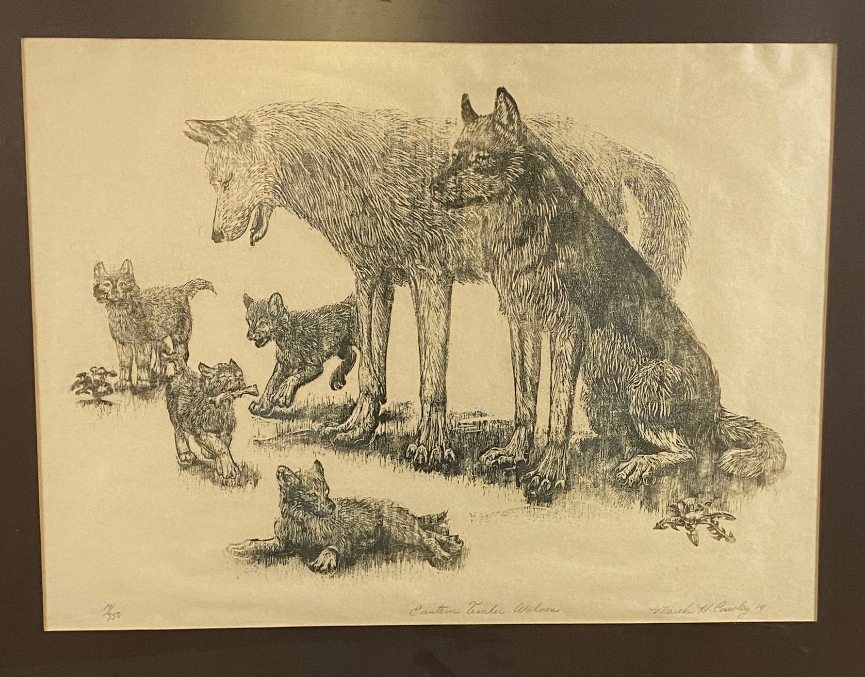 'Eastern Timber Wolves' Lithograph Framed Print Artwork