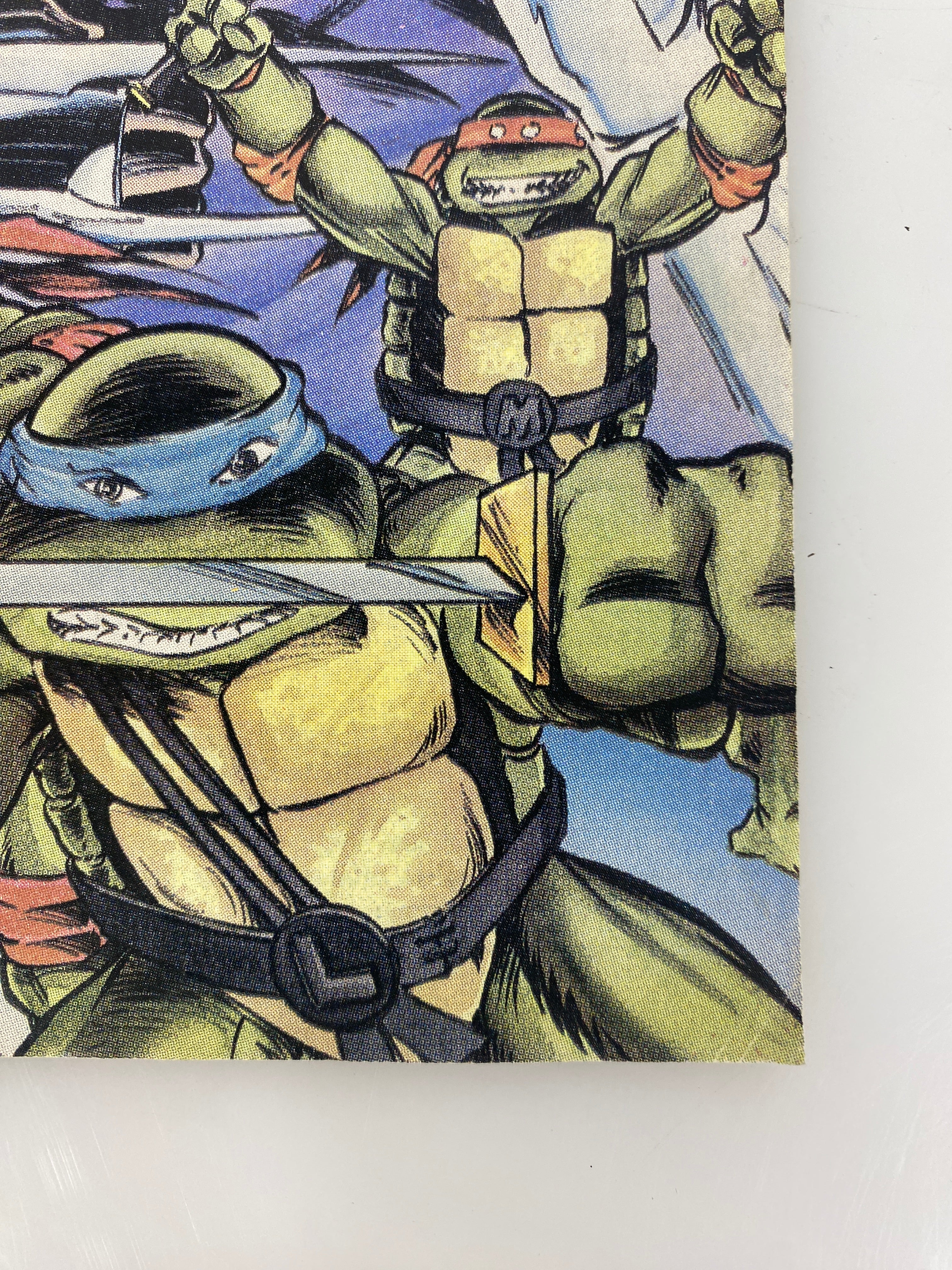 Lot of 9 Eastman Lair Ninja Turtles Comics 1-24 (1989-1991)