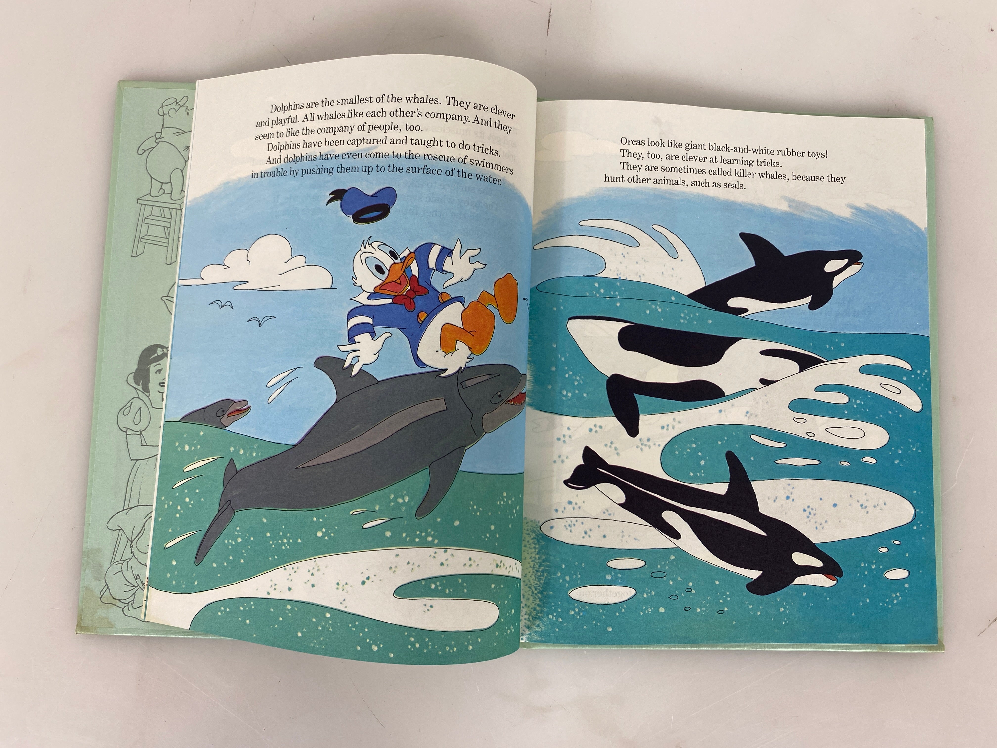 Lot of 19 Walt Disney Fun-To-Learn Library 1-19 1983 HC