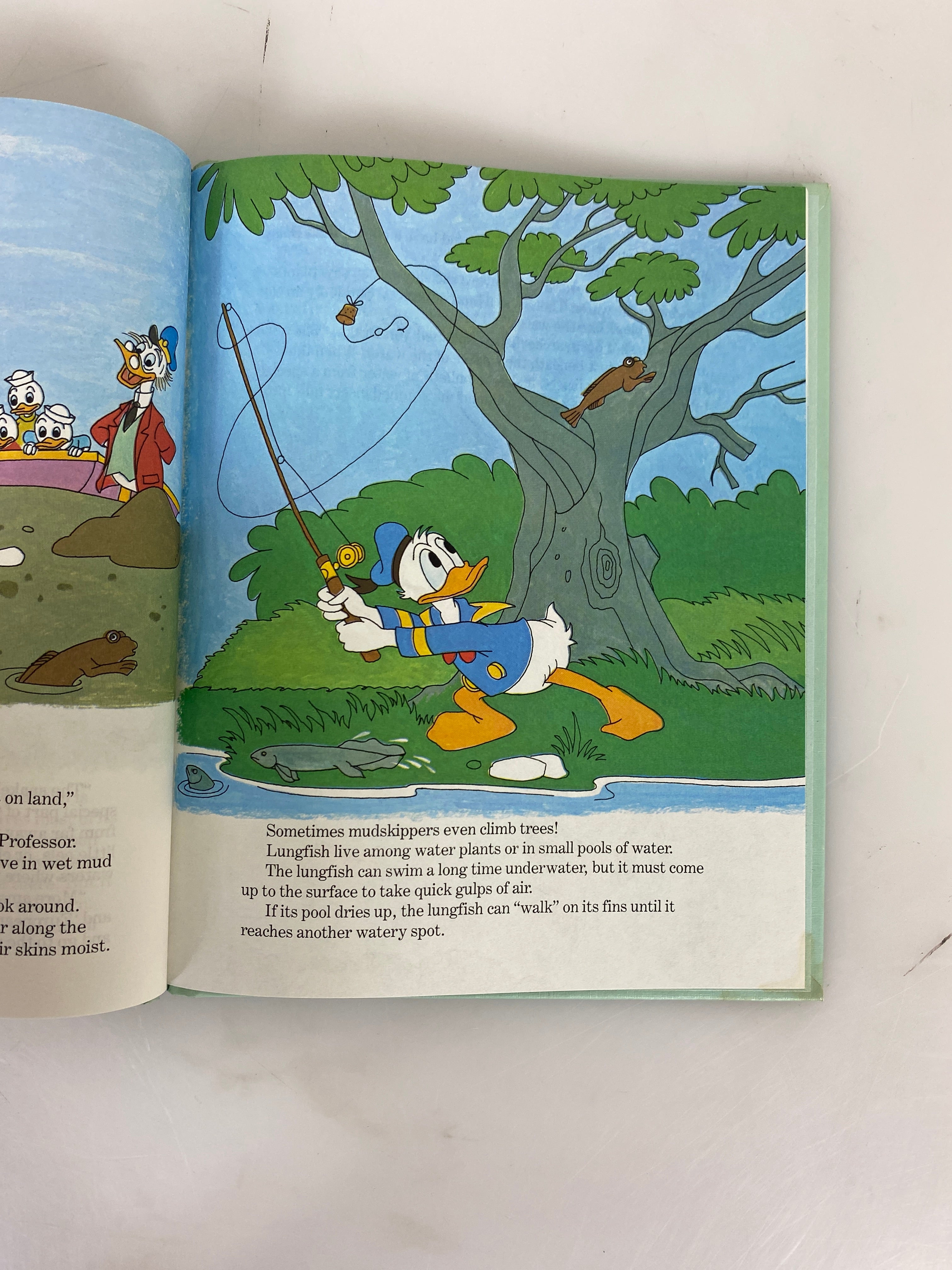 Lot of 19 Walt Disney Fun-To-Learn Library 1-19 1983 HC