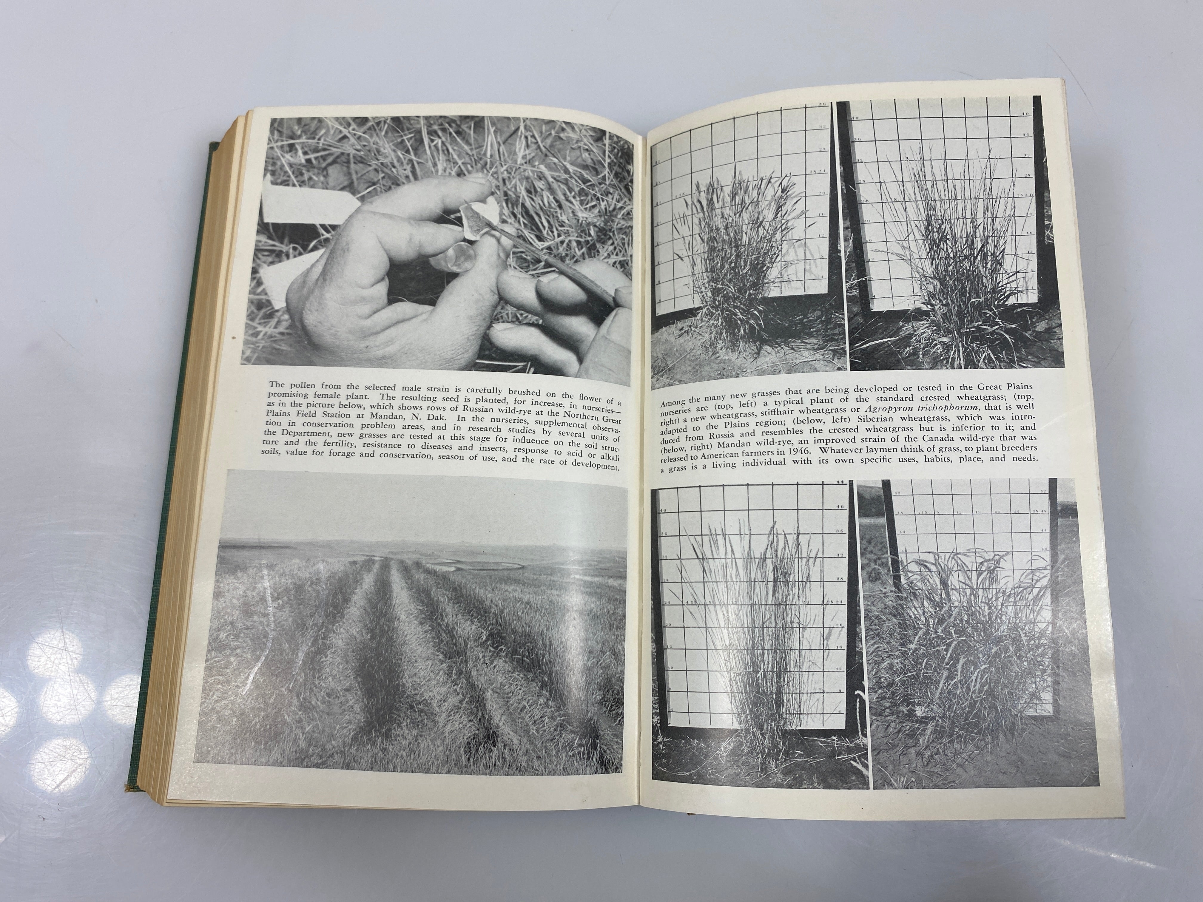 Set of 5 Yearbook of Agriculture 1948,51,53,55,&56 USDA HC