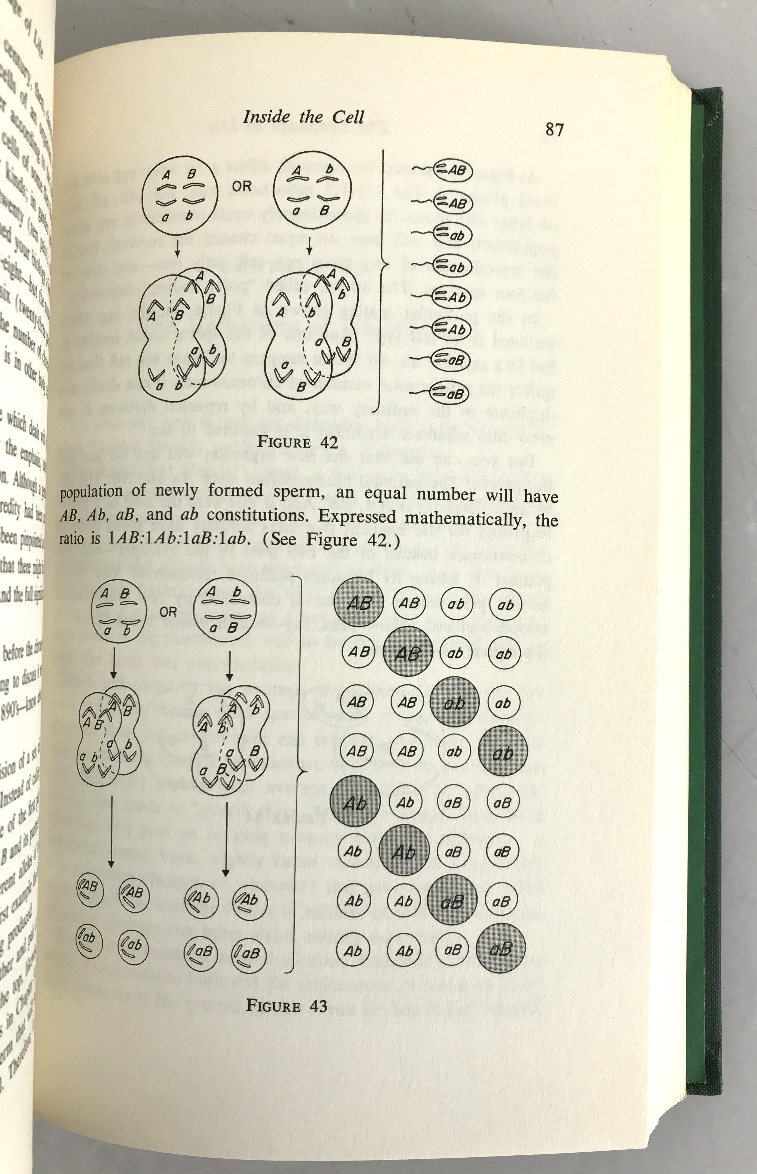 The Language of Life an Introduction to the Science of Genetics George and Muriel Beadle 1966 HC DJ