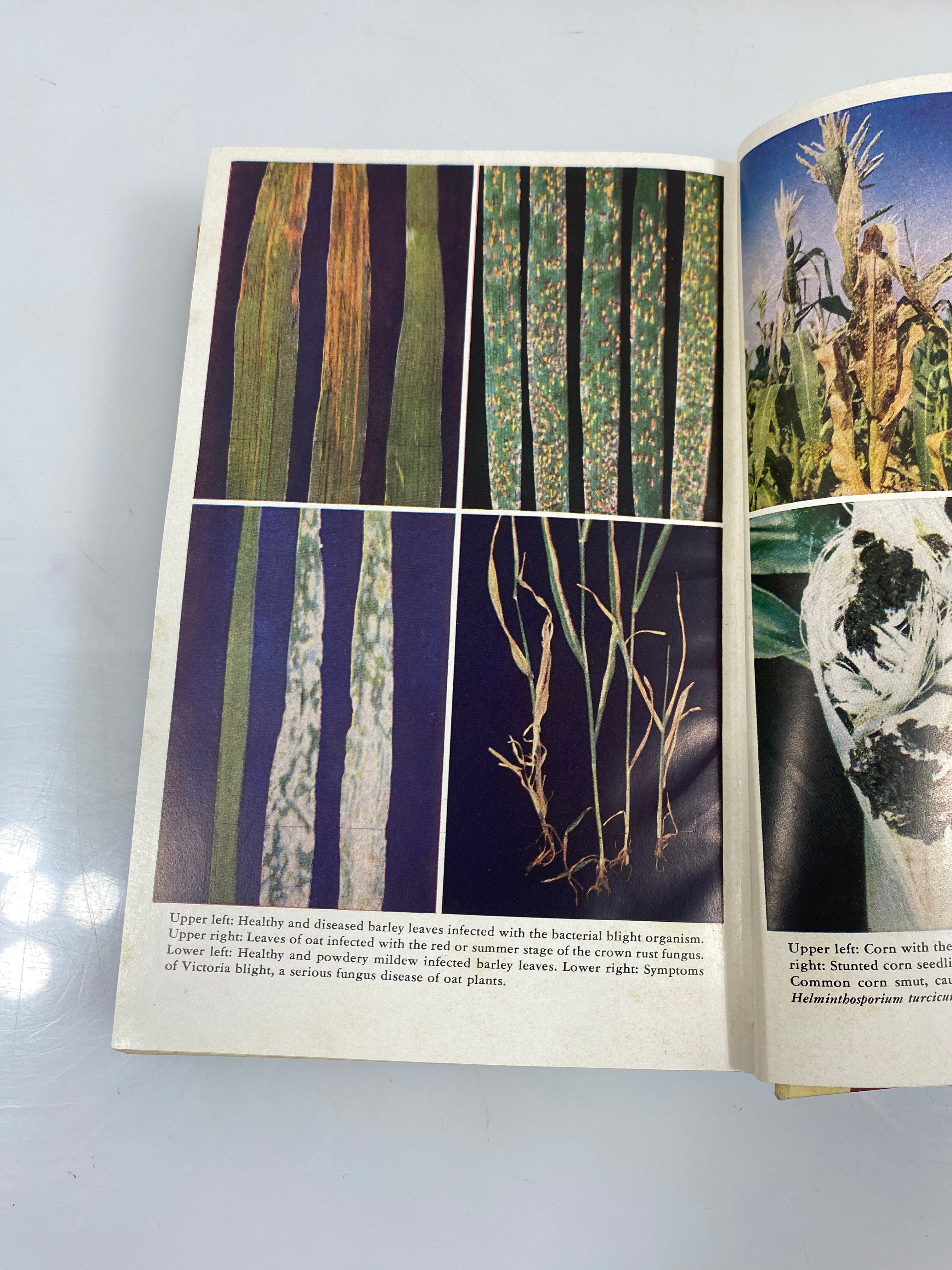 Set of 5 Yearbook of Agriculture 1948,51,53,55,&56 USDA HC