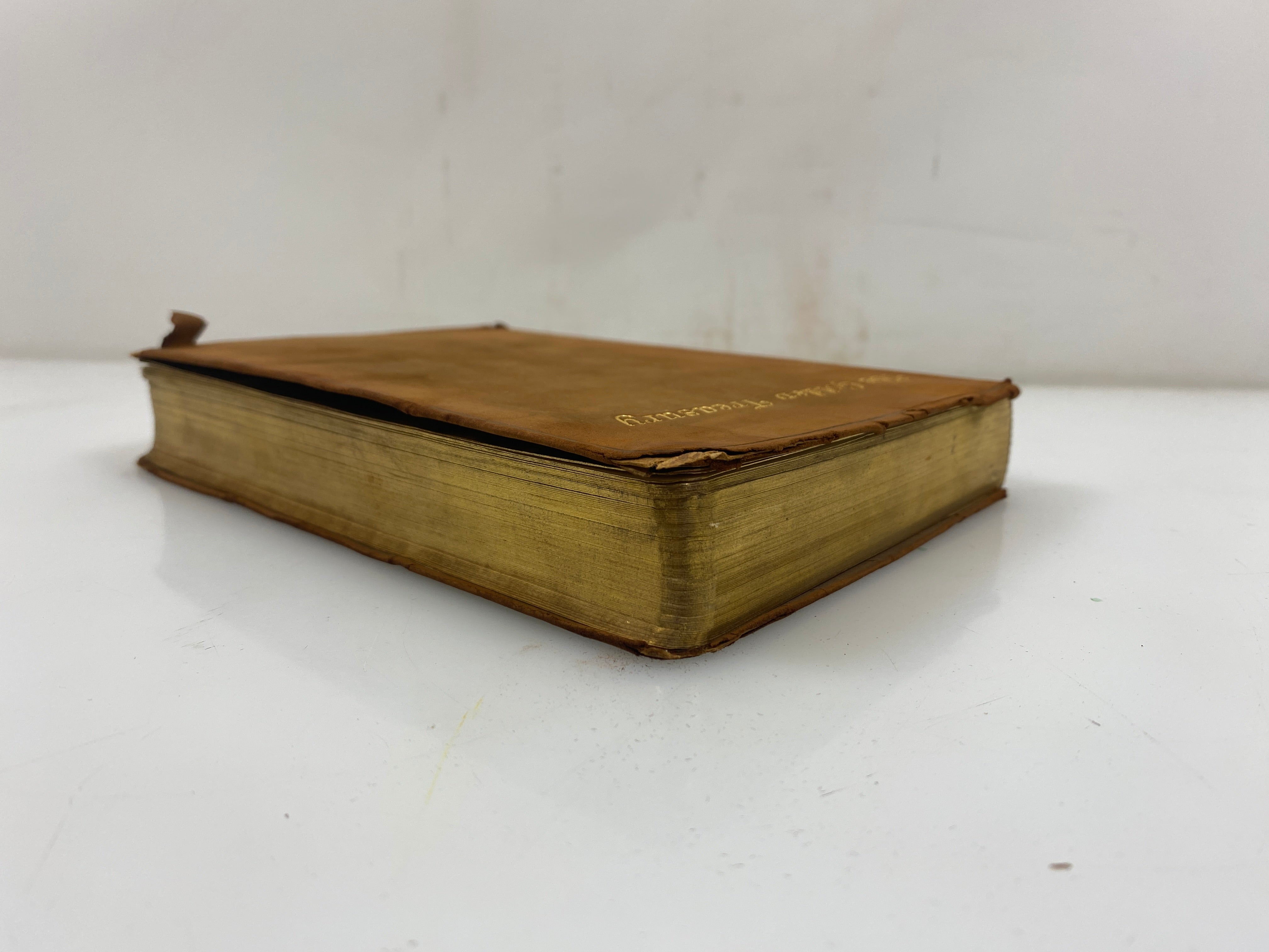 The Golden Treasury by Francis Palgrave Leather Bound