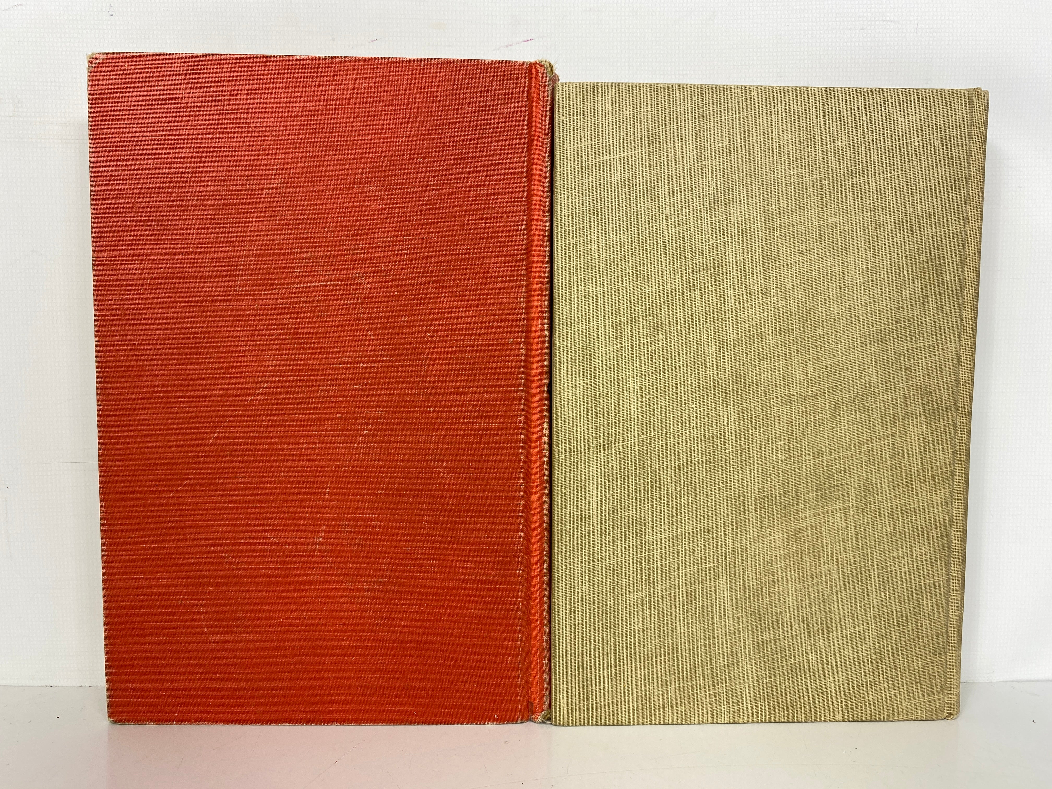 2 Vols: The Theory of Groups/Theory of Groups of Finite Order 1955-61 HC