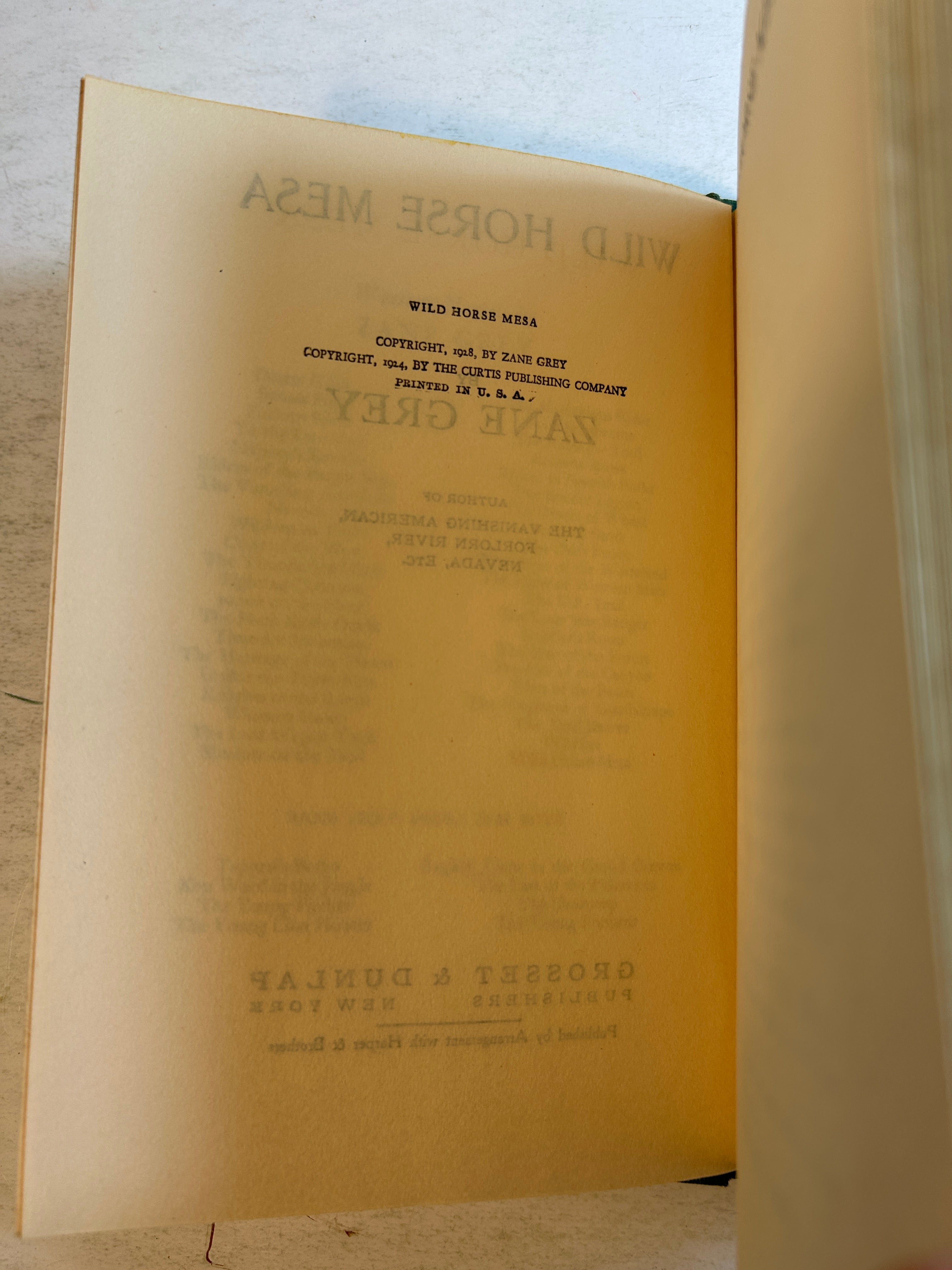 Wild Horse Mesa by Zane Grey Grosset & Dunlap 1924 HCDJ