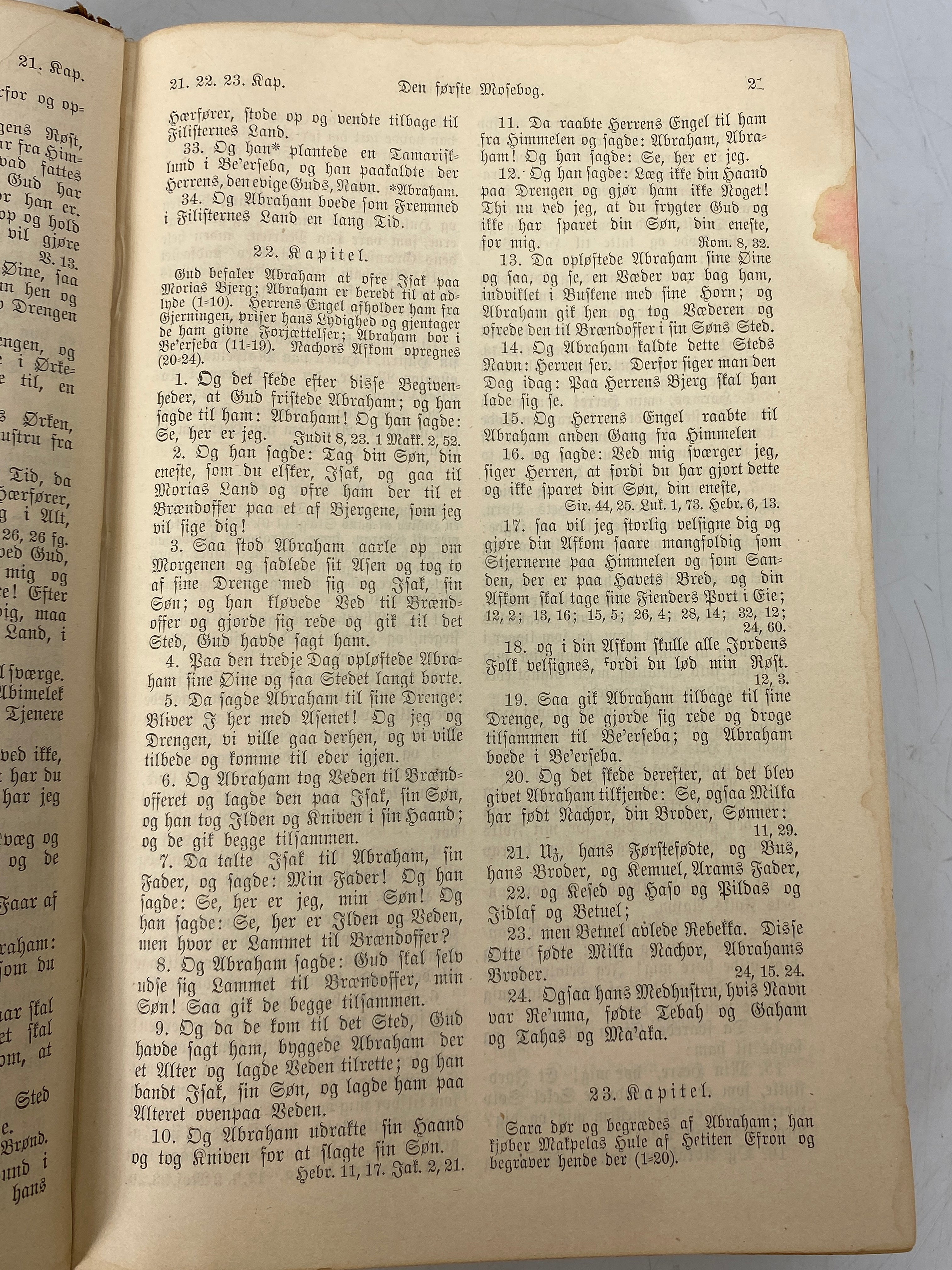 Antique Danish Bible Old & New Testaments 1892 United Norwegian Lutheran Church