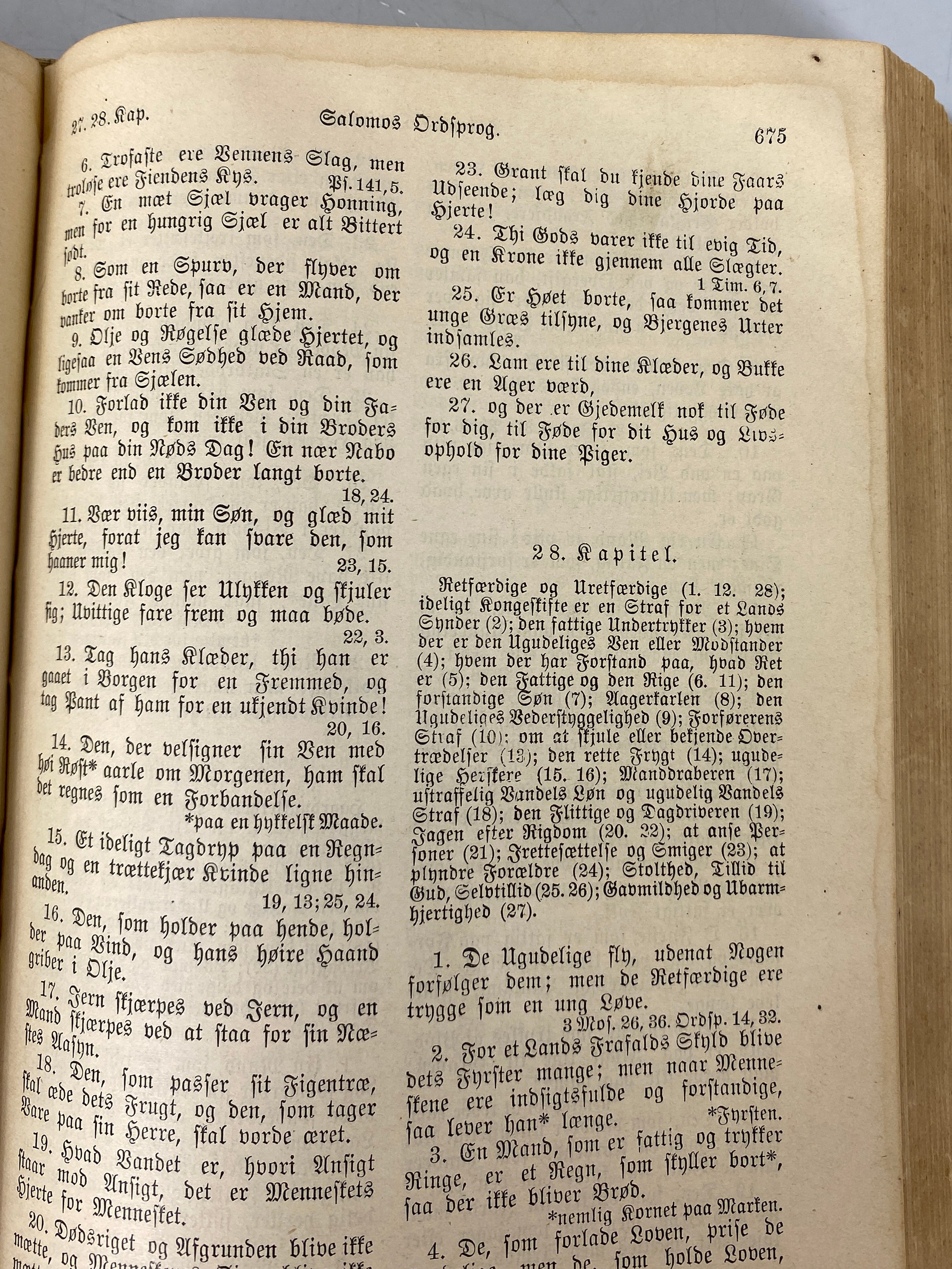 Antique Danish Bible Old & New Testaments 1892 United Norwegian Lutheran Church