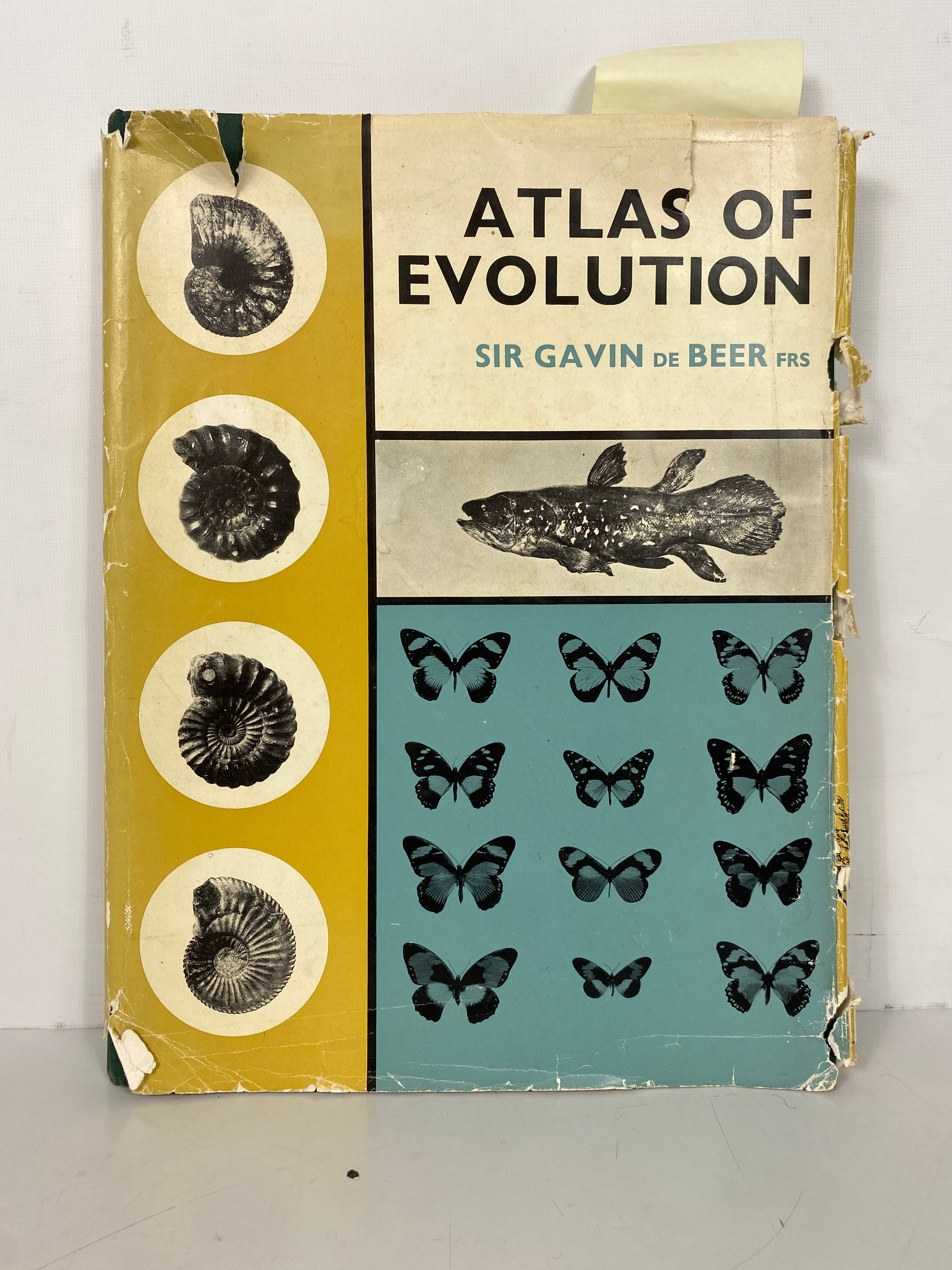 Atlas of Evolution by Sir Gavin de Beers 1964 Vintage 1st Edition HCDJ