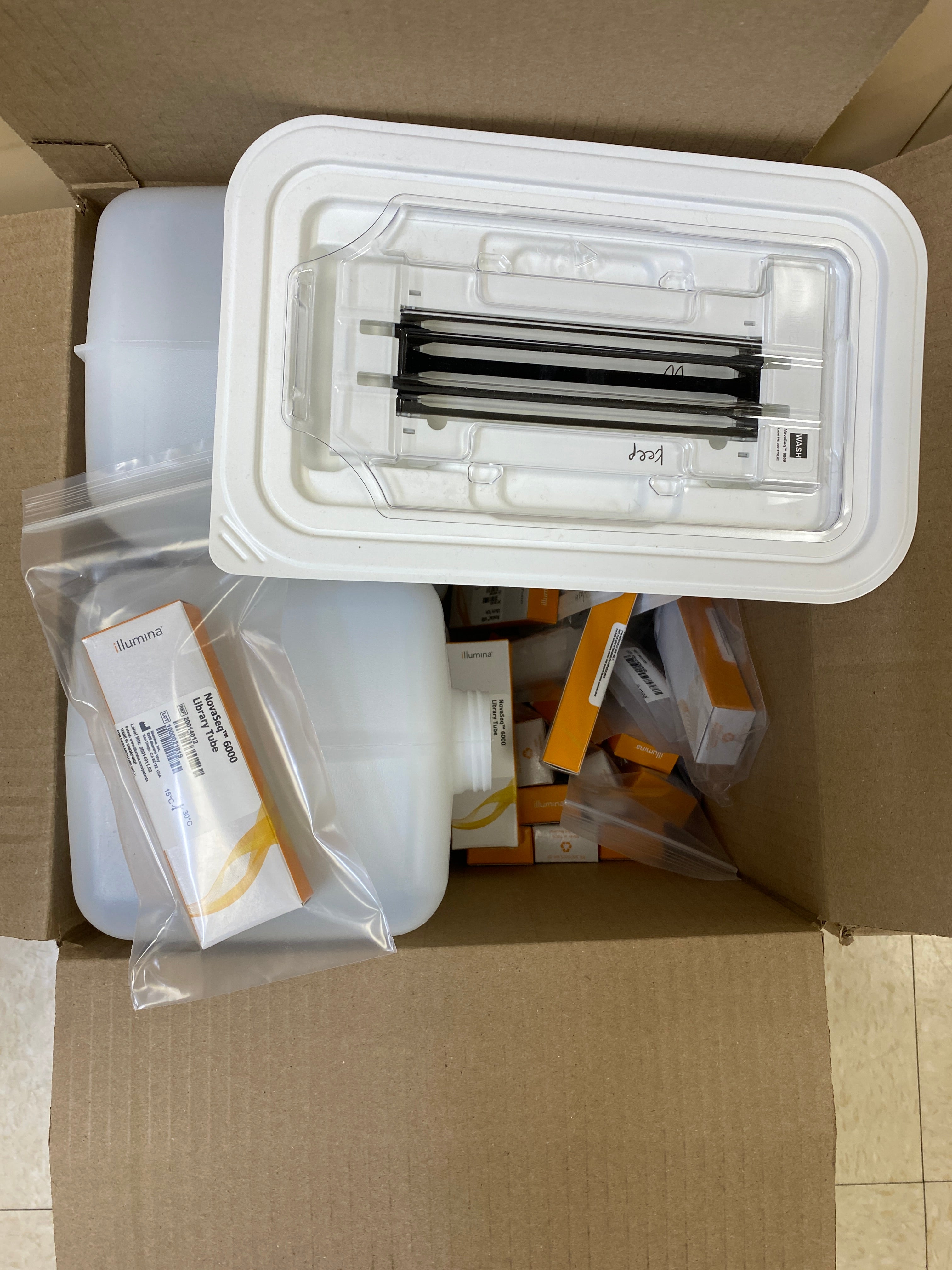 Illumina Novaseq 6000 Sequencing System