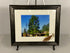 Framed Kettunen Center Photograph with Pine Needles