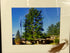 Framed Kettunen Center Photograph with Pine Needles