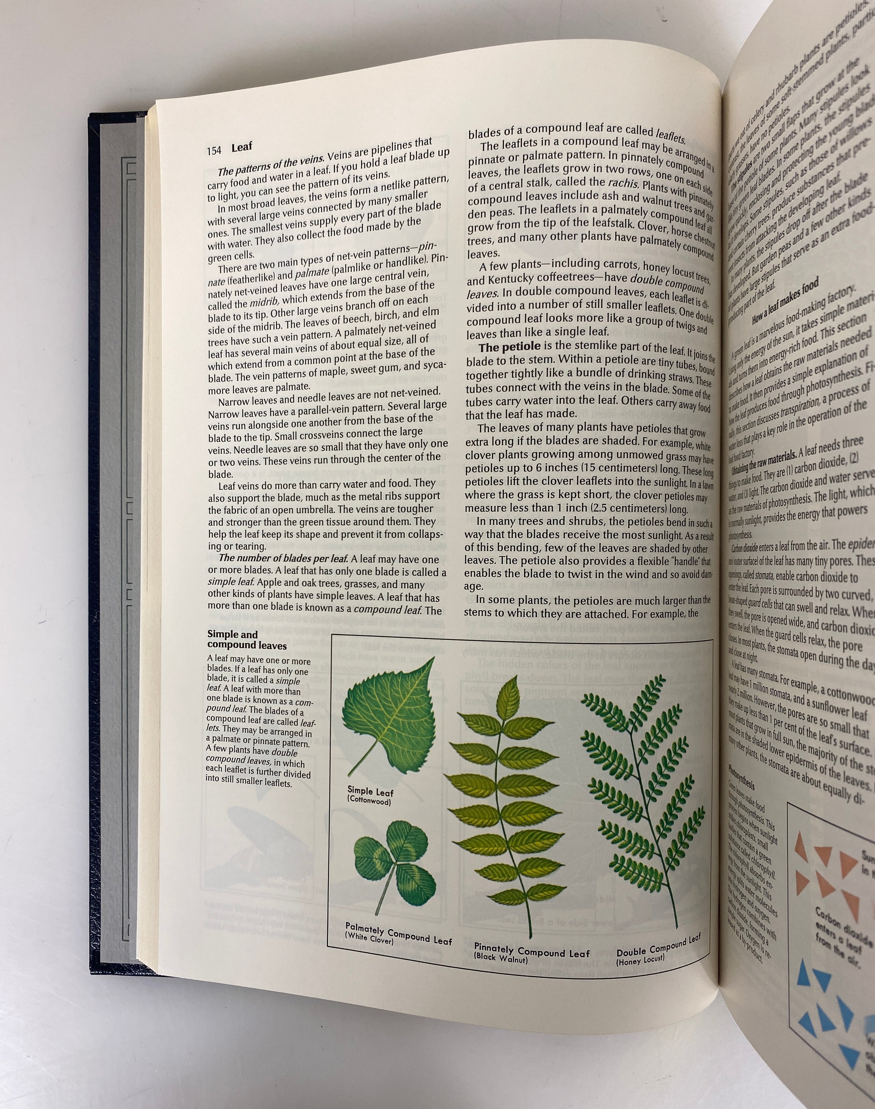 Lot of 22: World Encyclopedia World Book, Inc. 1990 HC