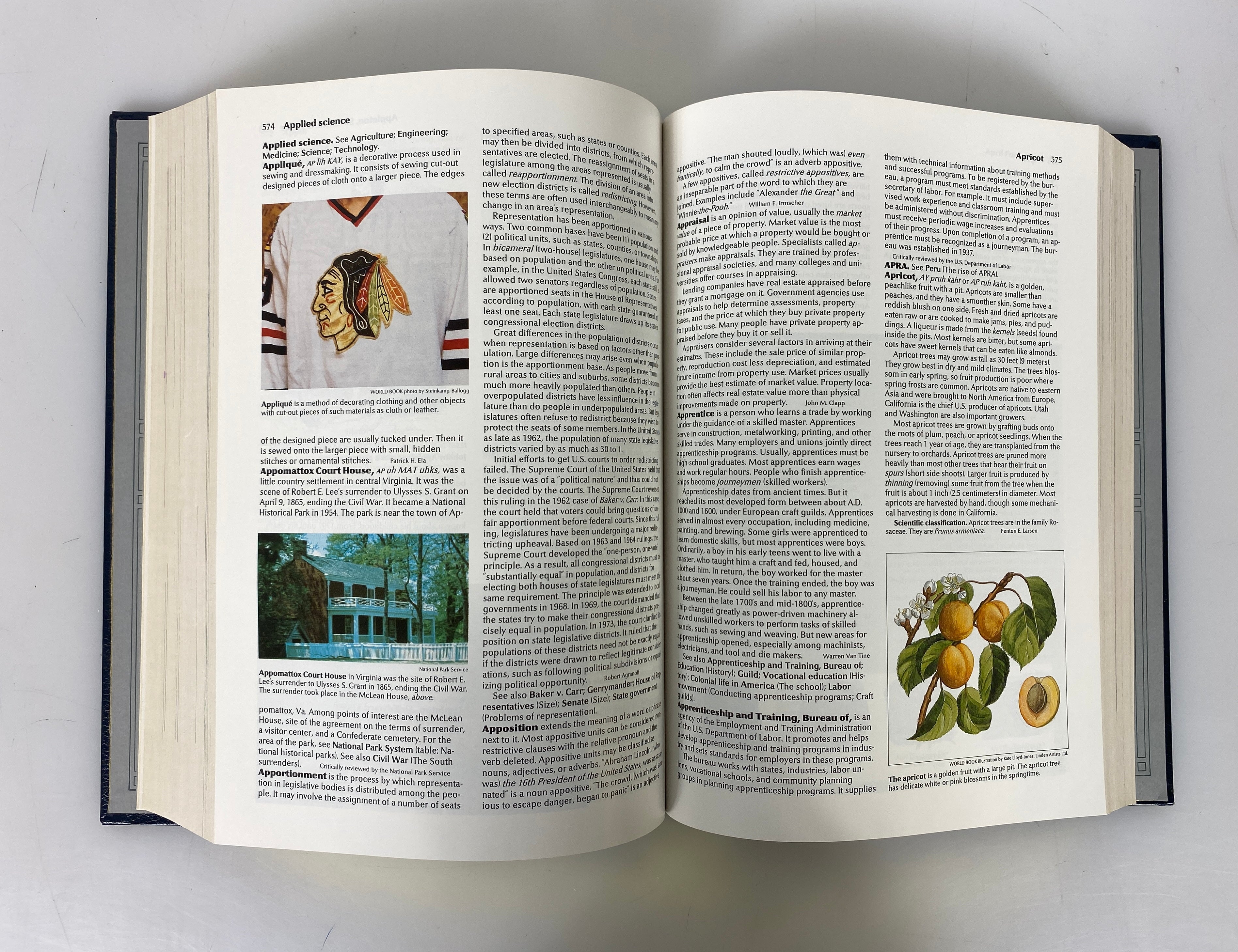 Lot of 22: World Encyclopedia World Book, Inc. 1990 HC