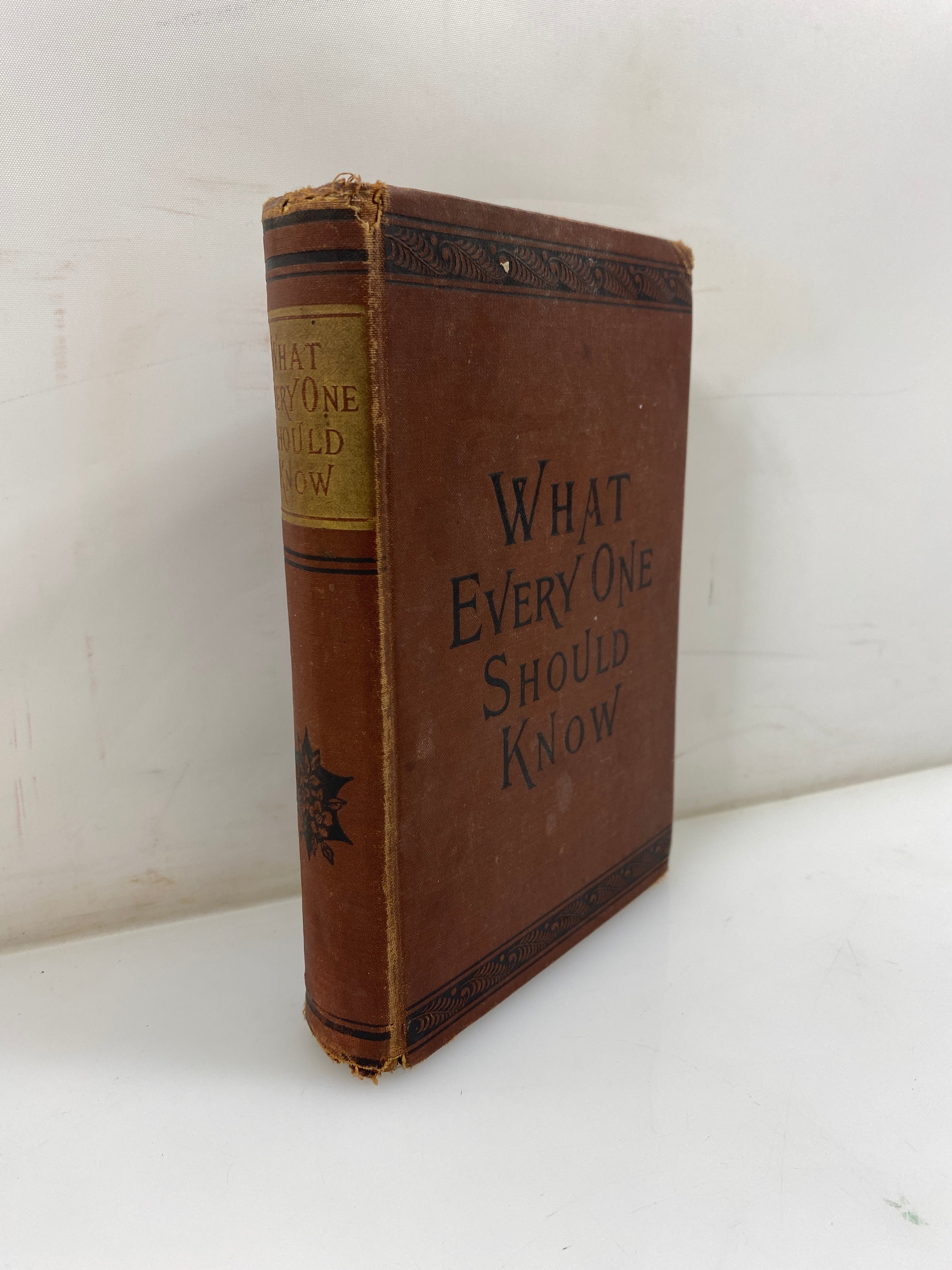Antique What Should Every One Know S.H. Burt 1884 HC