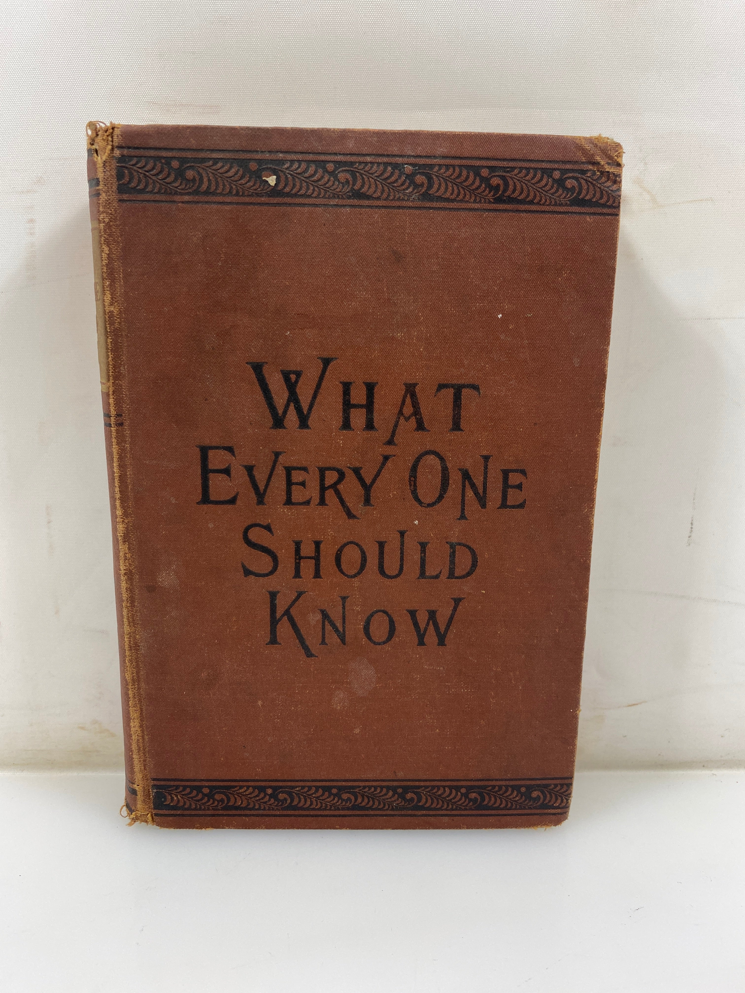 Antique What Should Every One Know S.H. Burt 1884 HC