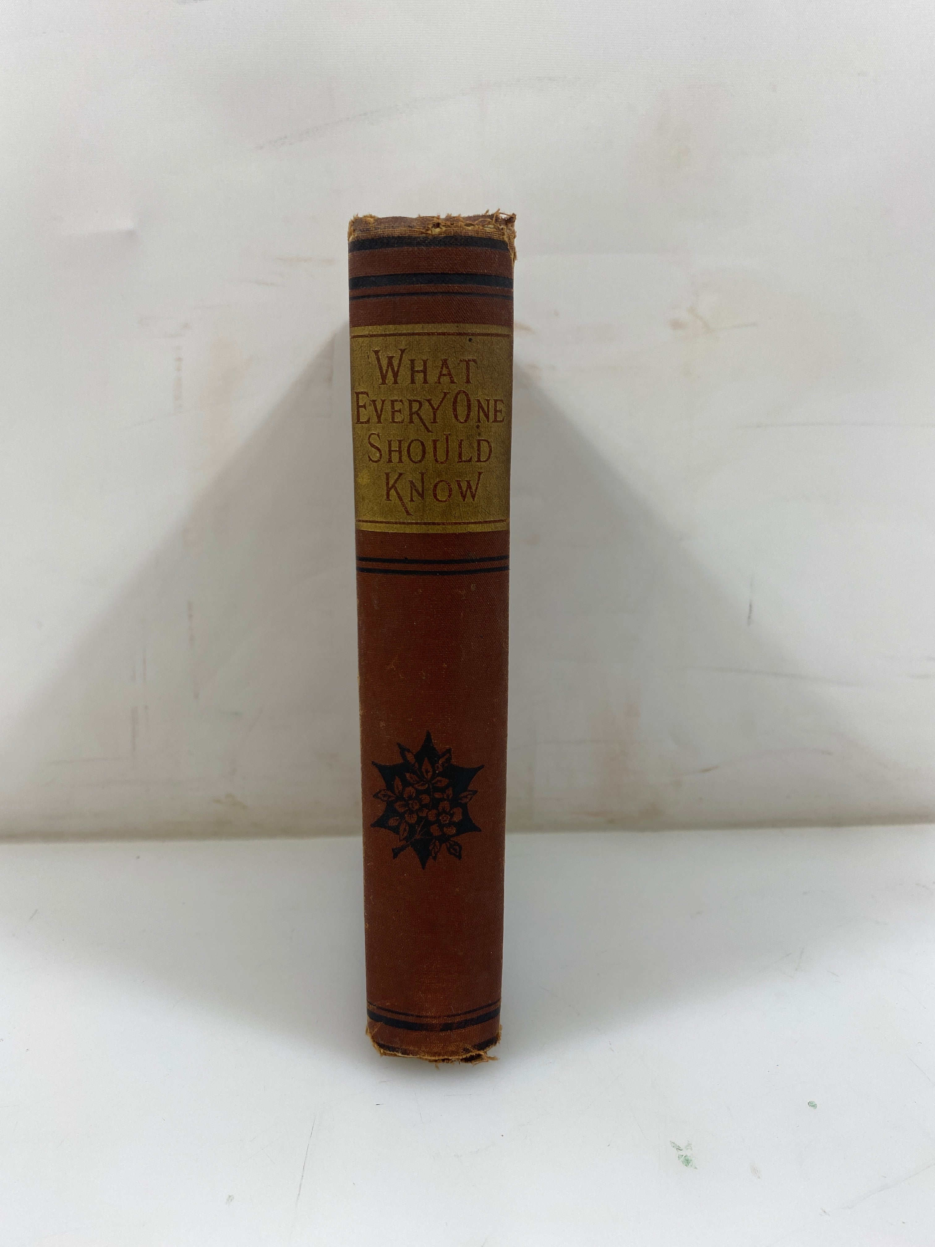 Antique What Should Every One Know S.H. Burt 1884 HC