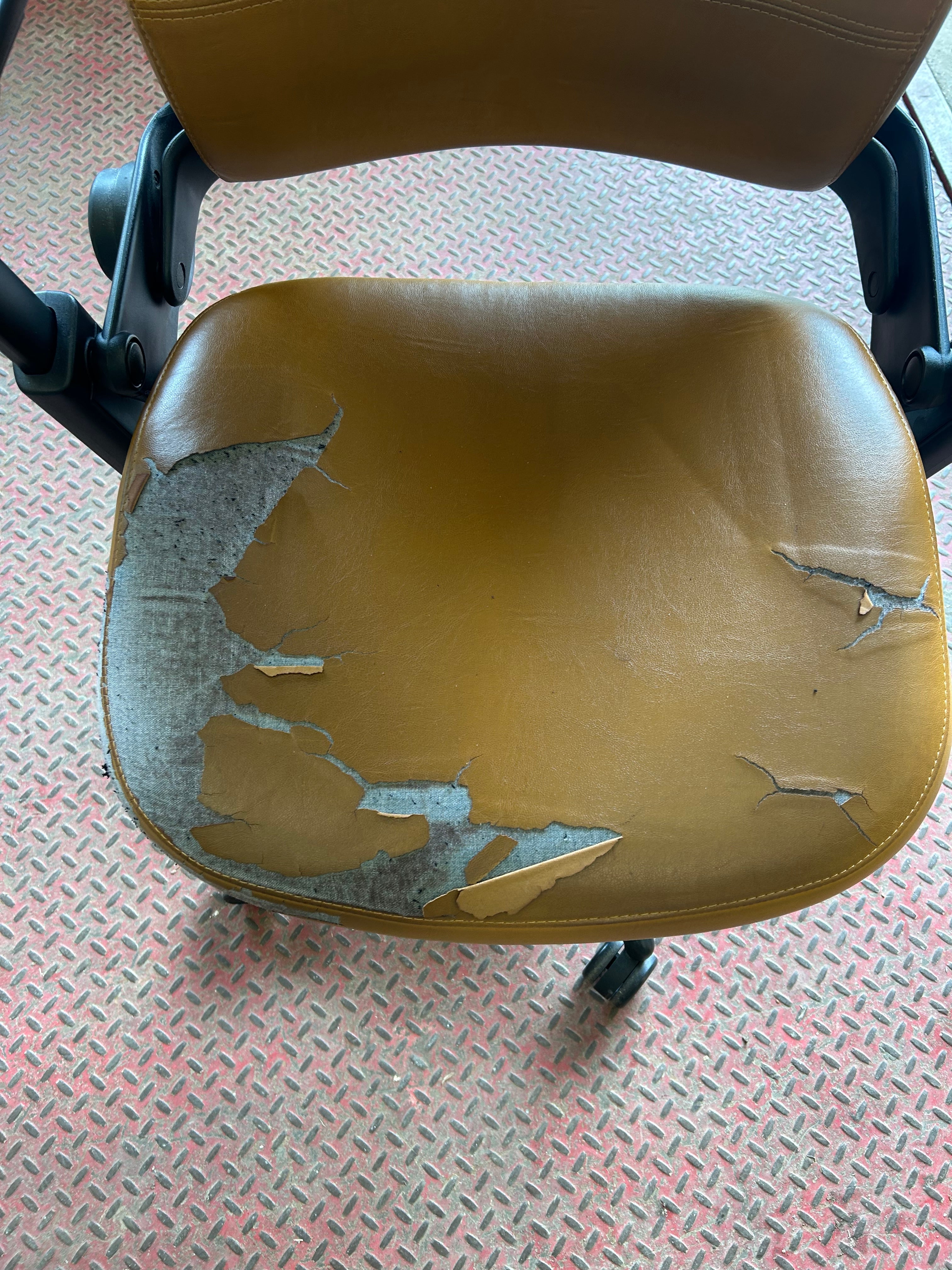 Steelcase Leap Chair