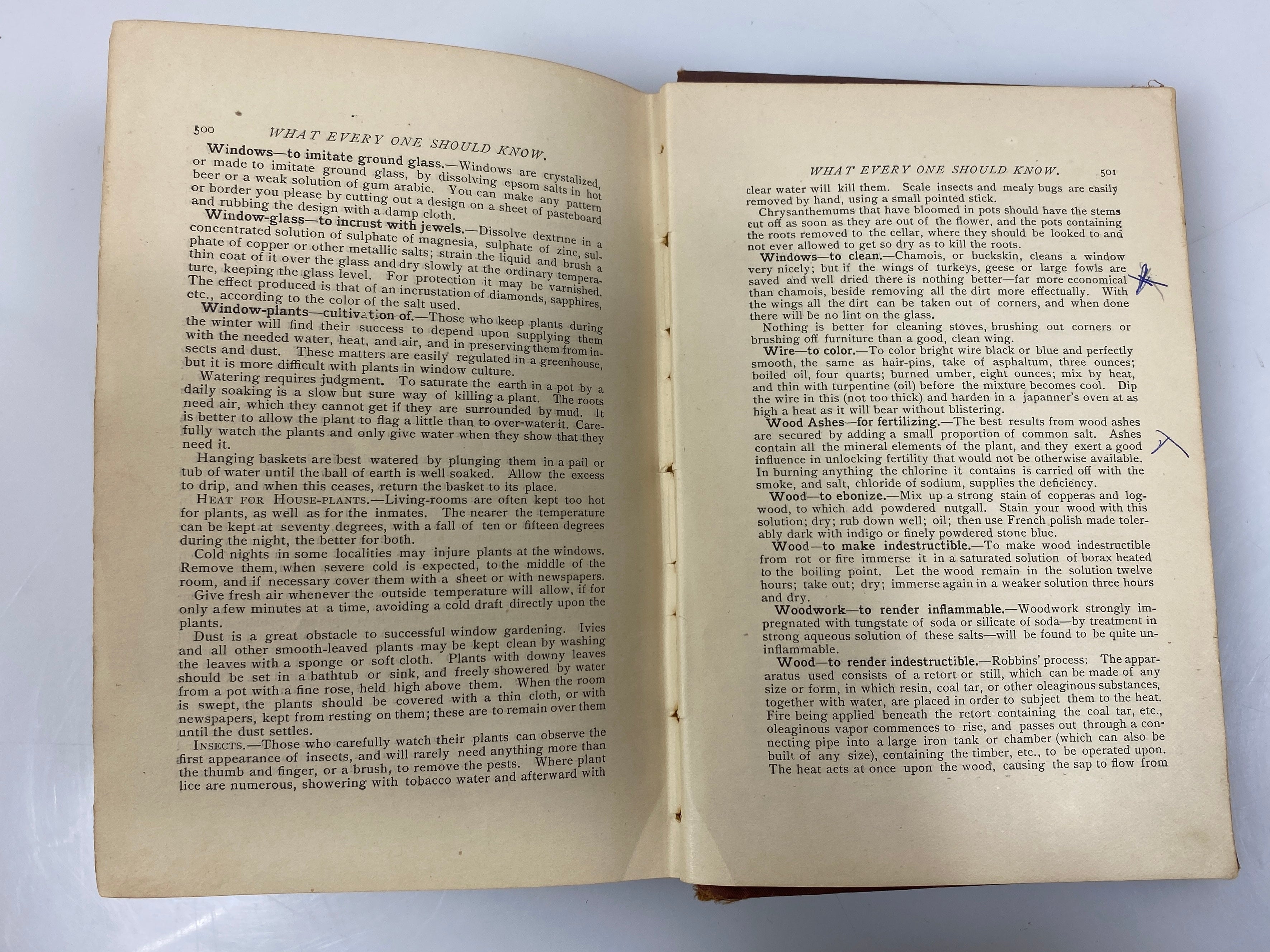 Antique What Should Every One Know S.H. Burt 1884 HC